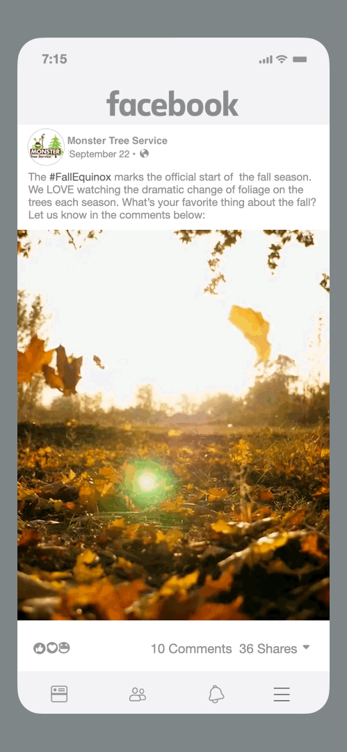 Fall Equinox_15fps.gif