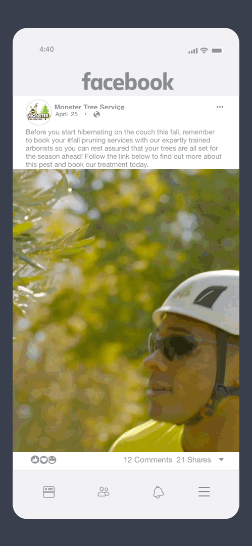 Pruning Precision_15fps.gif