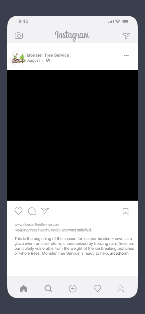 August Flowering_dk gray.gif