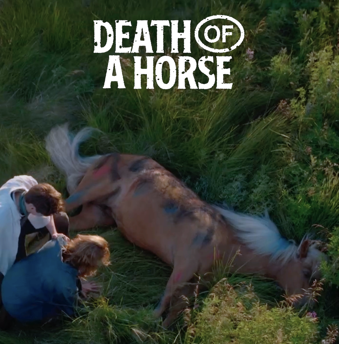 Death of a Horse