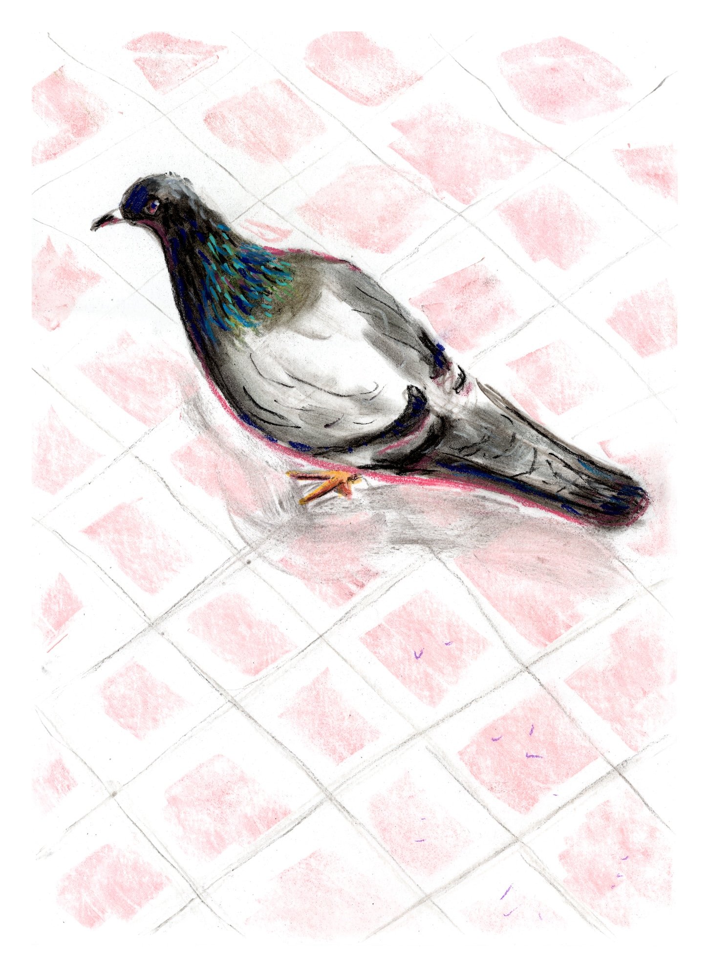 pigeon-outside-design-museum.jpg