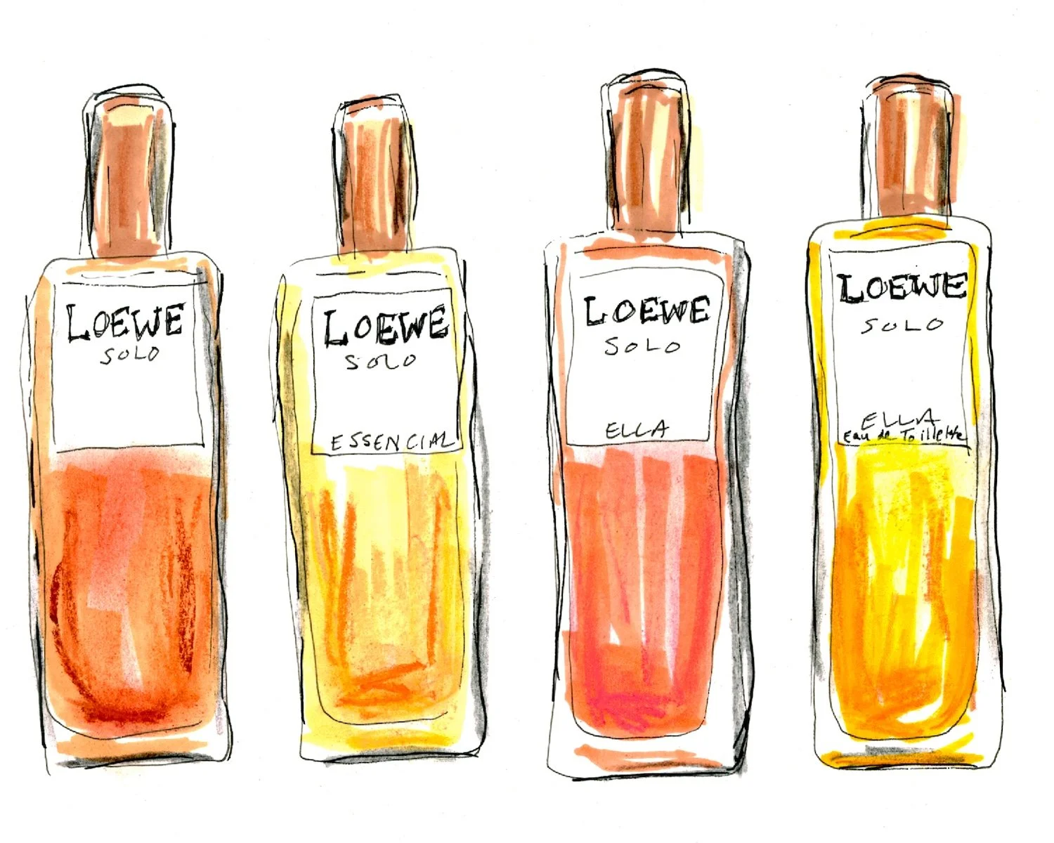 loewe solo perfume illustration.jpg