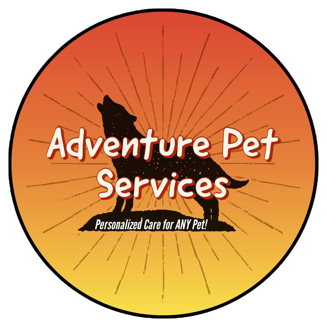 Adventure Pet Services Dog Training Videos