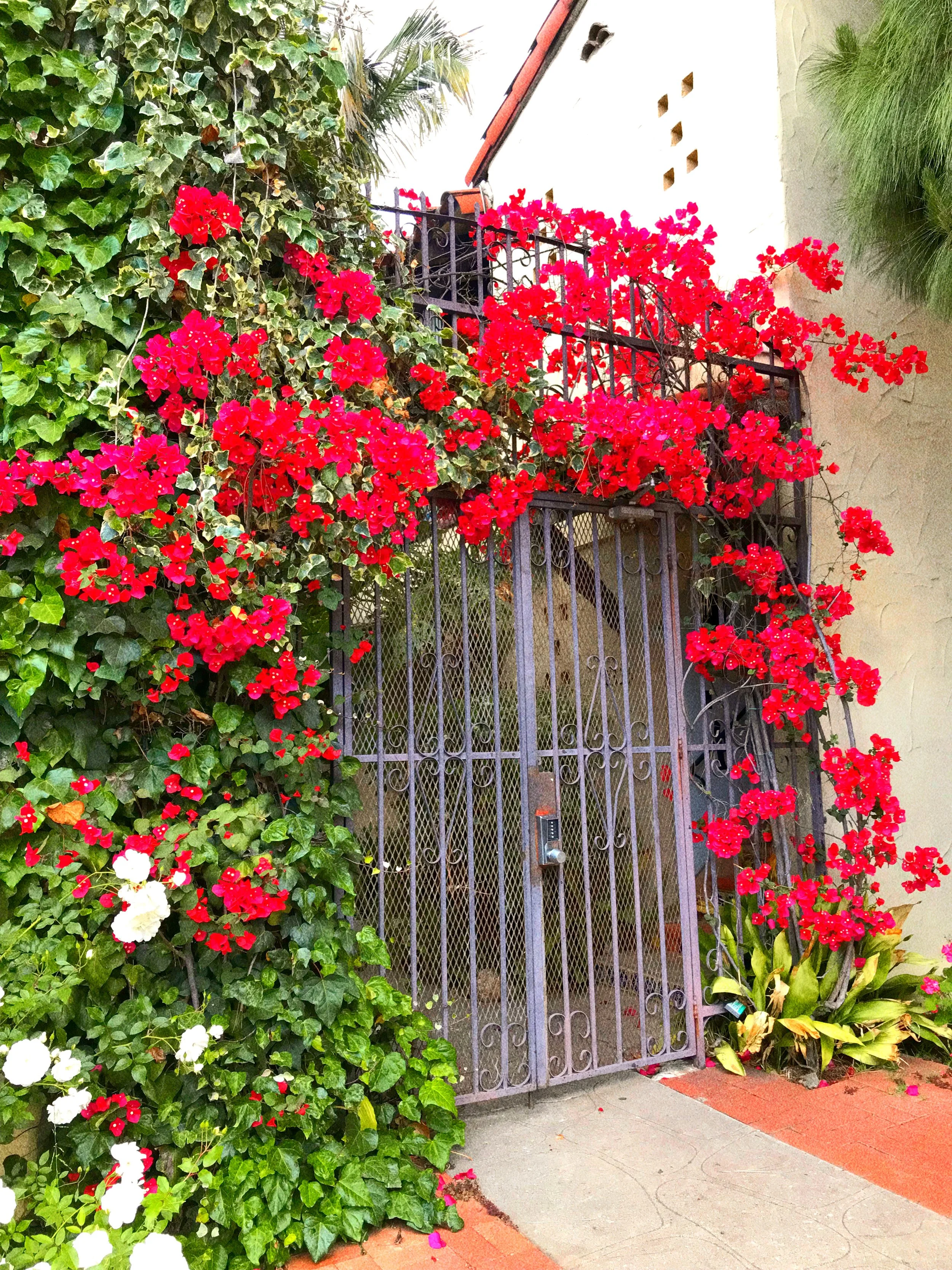 los angeles, california 