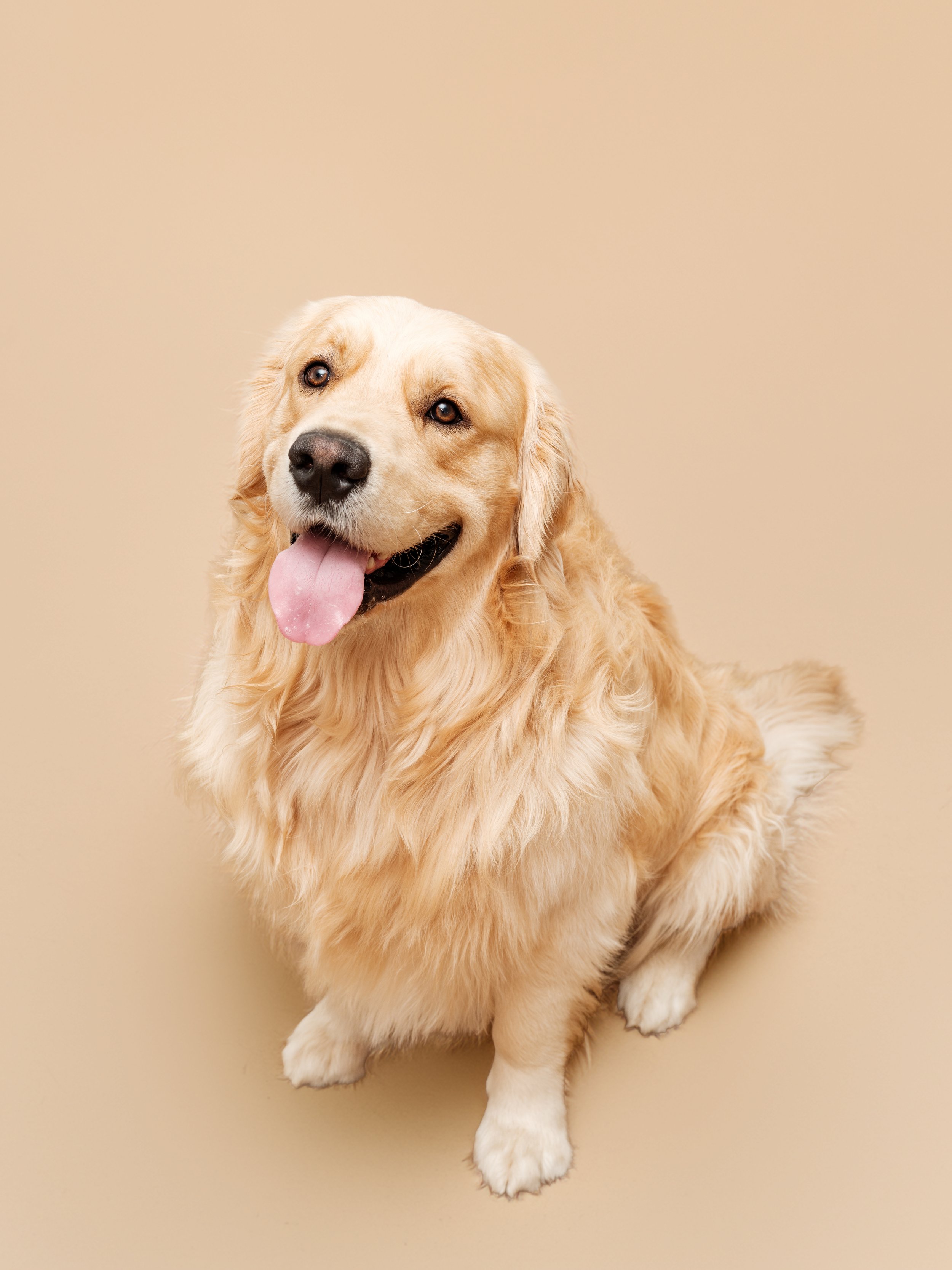 CODY 4.JPG