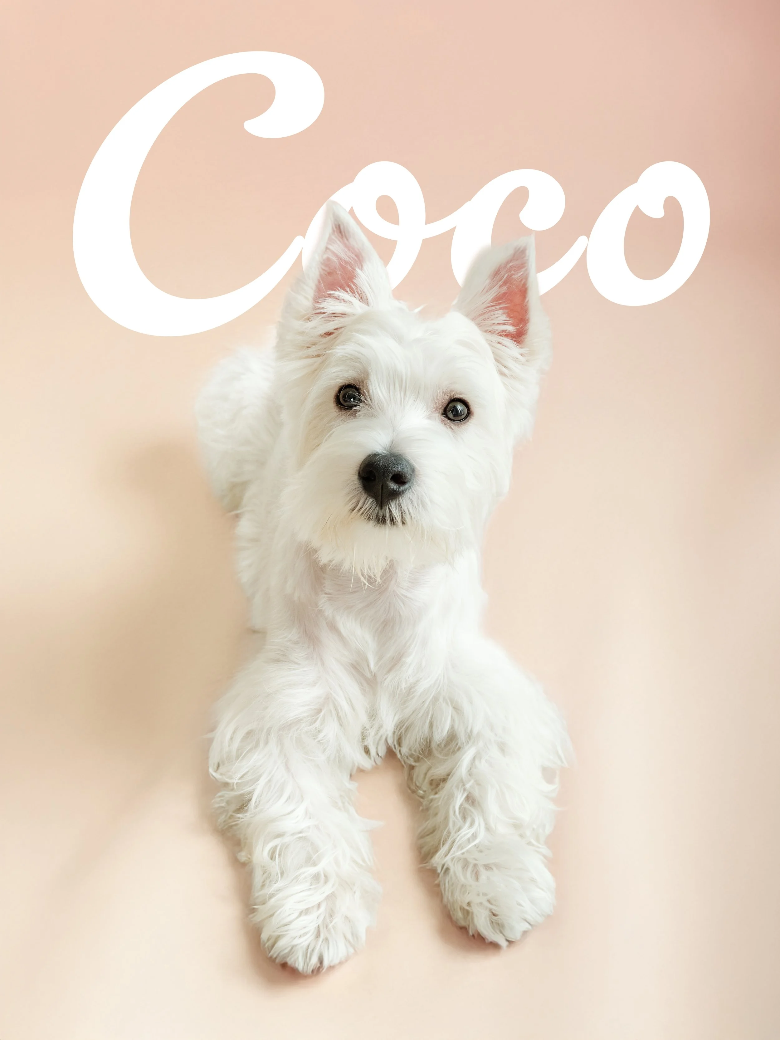 COCO INSTA 5 copy.jpg