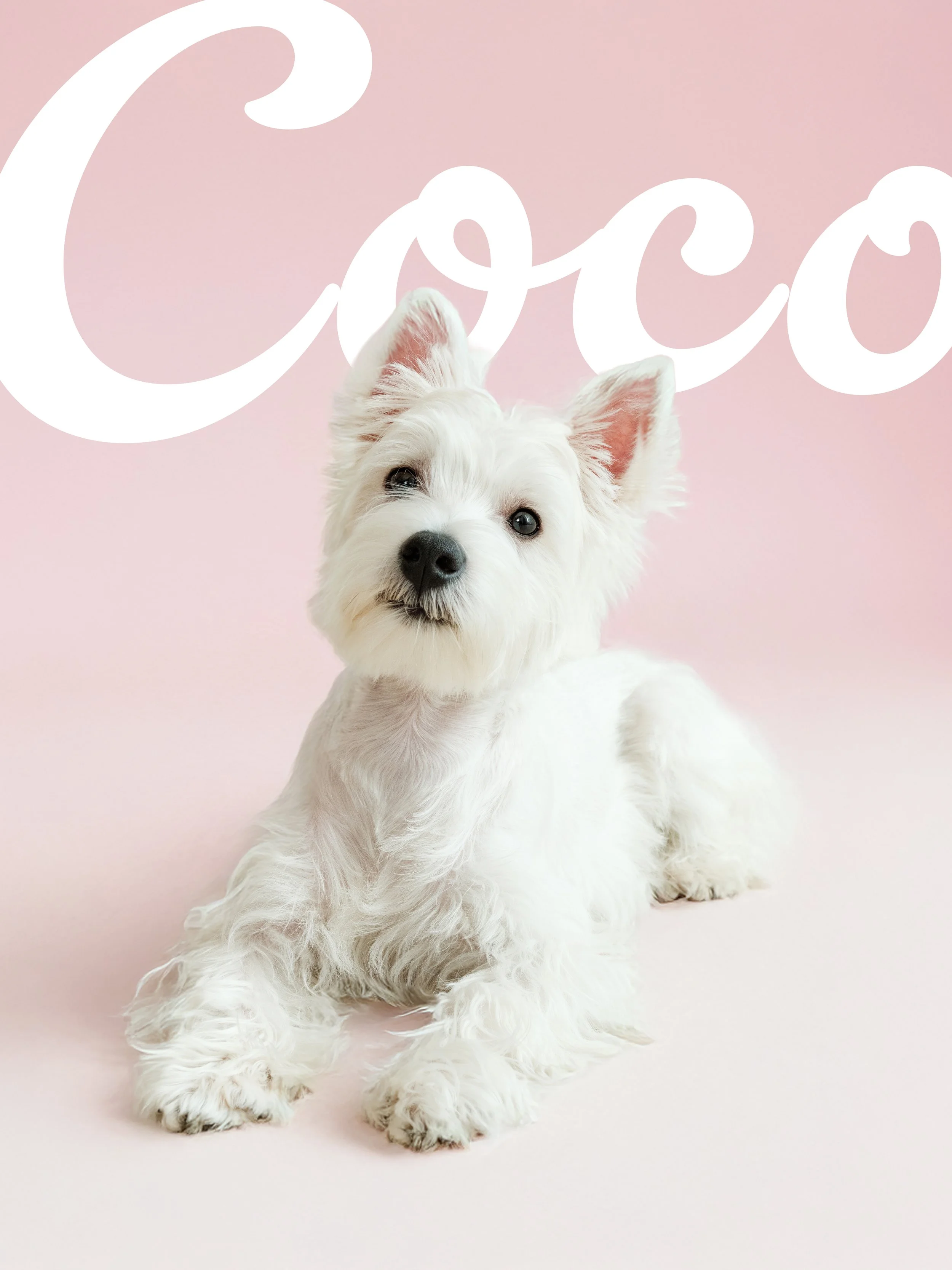 COCO INSTA 2 copy.jpg