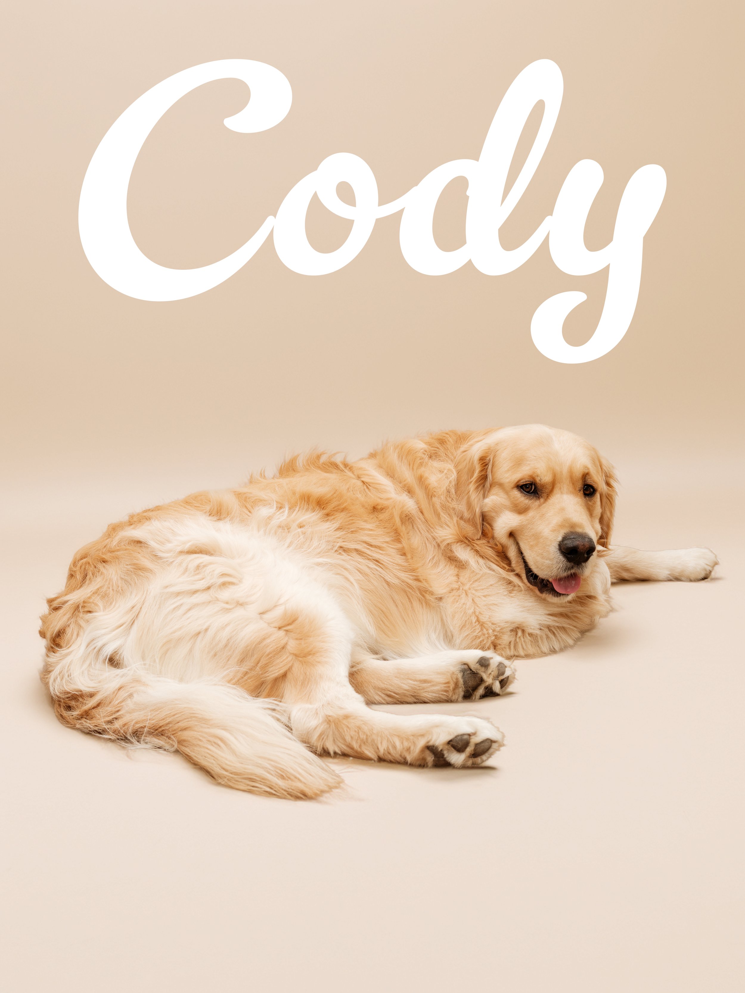 CODY 7.jpg