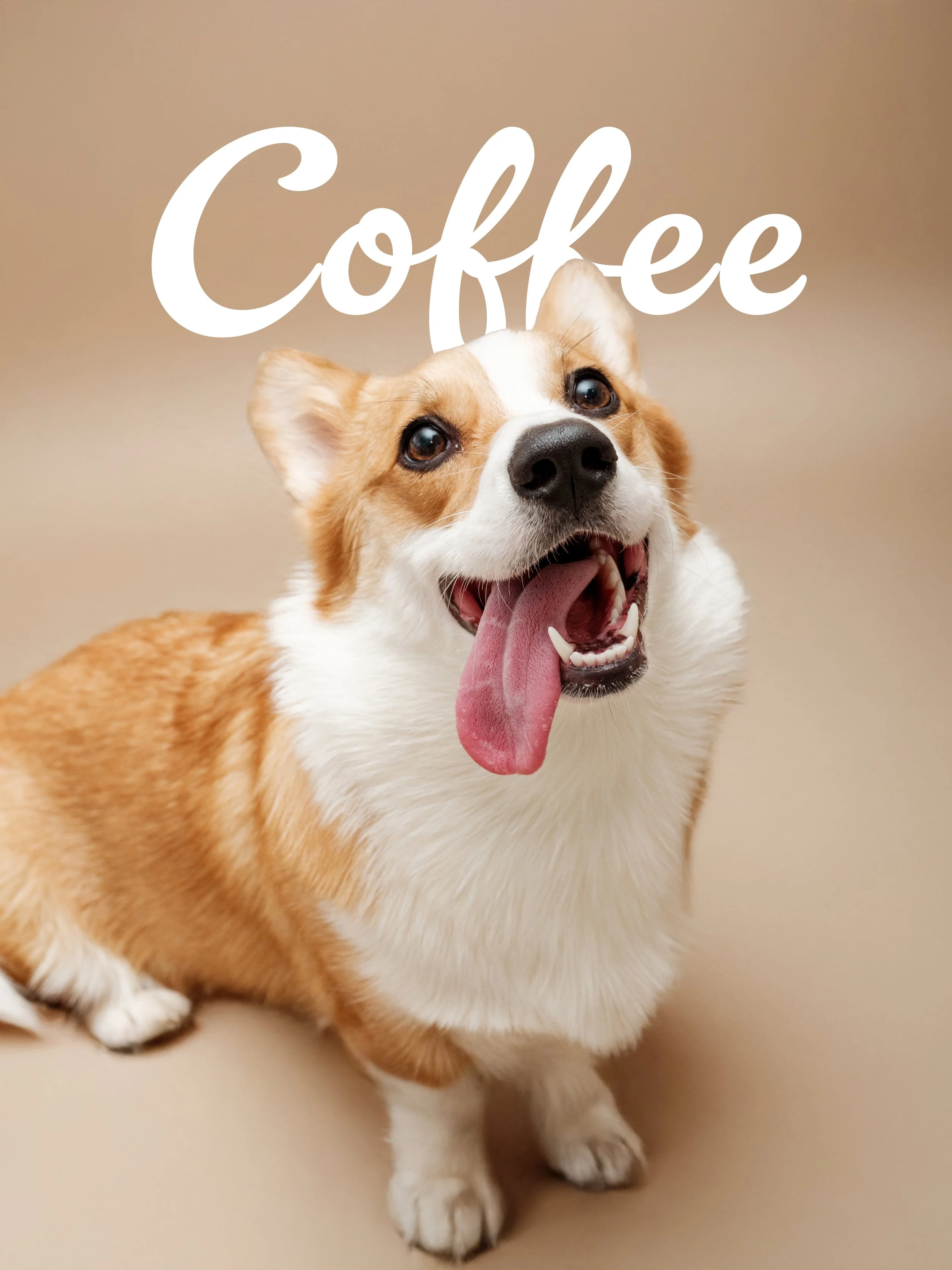 Coffee Studio 4 copy.jpg