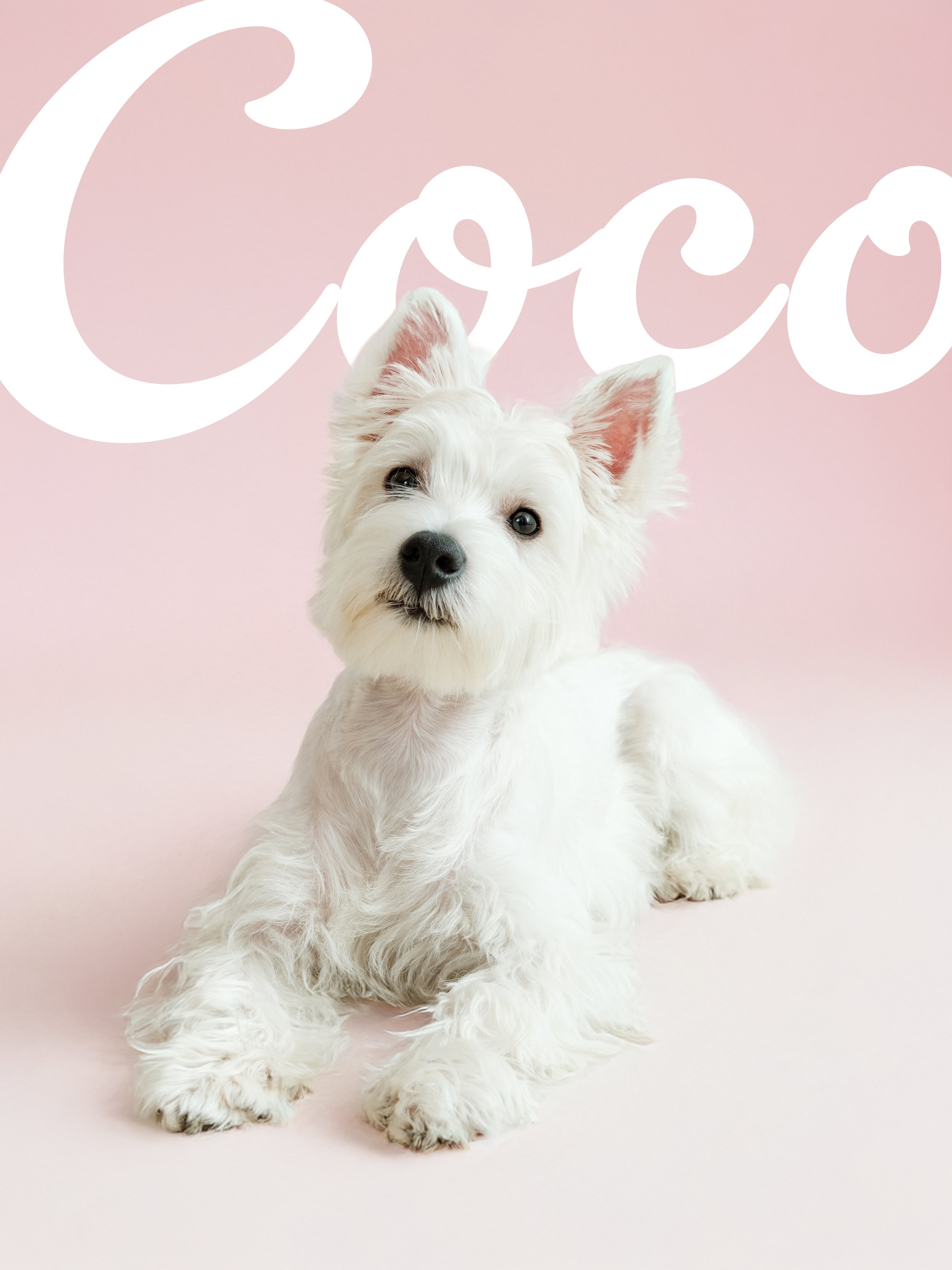 COCO