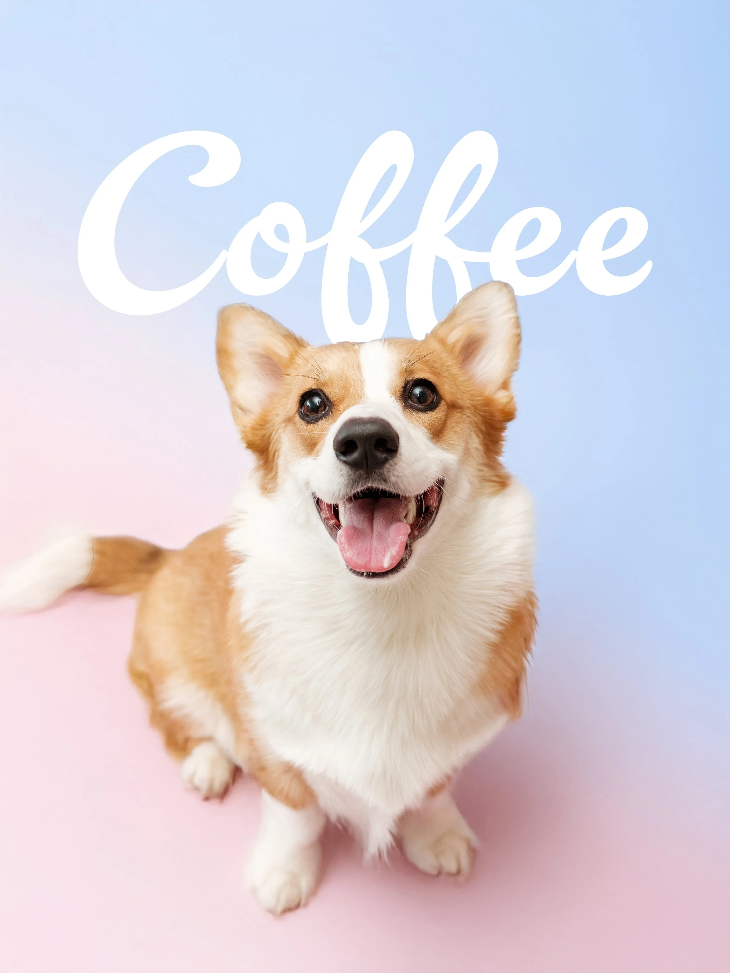 Coffee Studio 2 copy.jpg