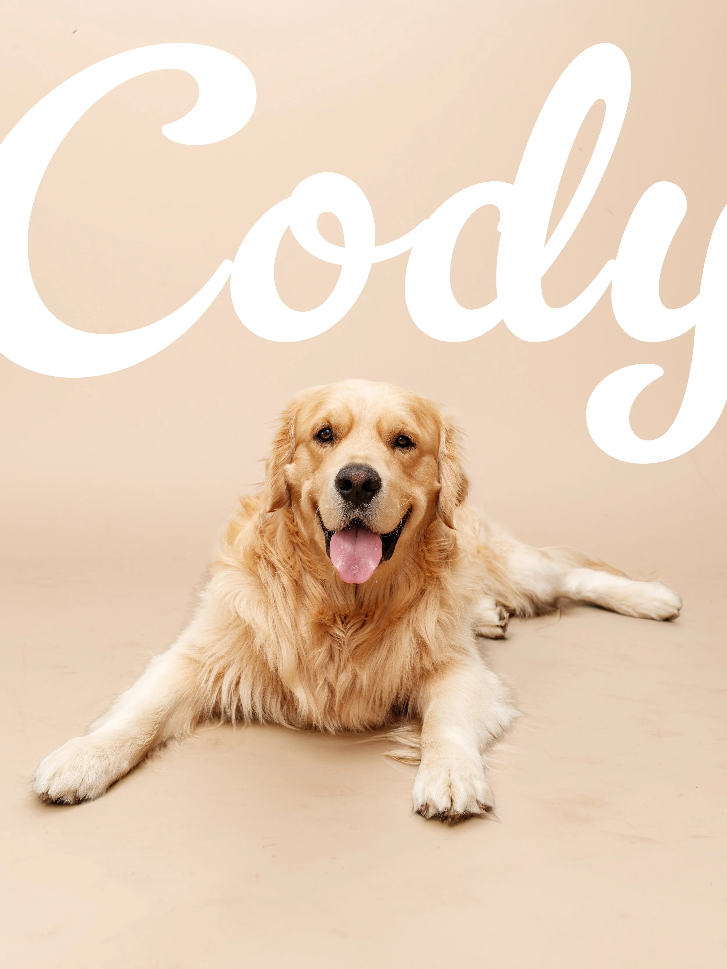 CODY 5.jpg