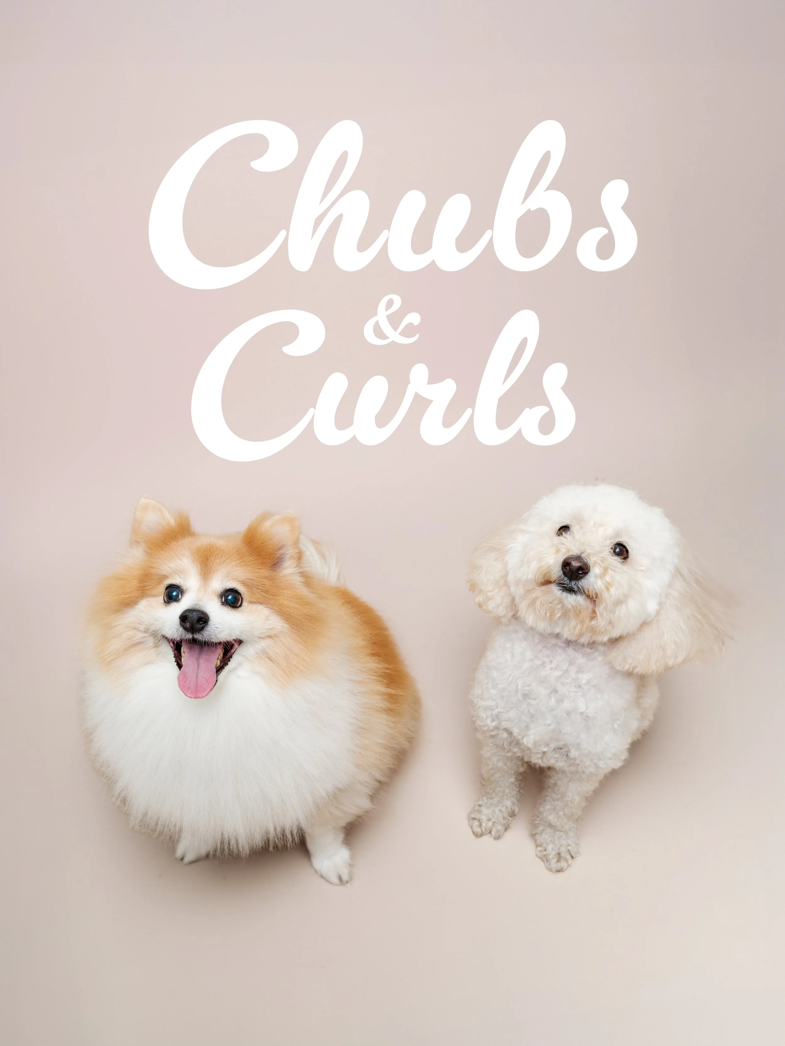 CURLS & CHUBS 9.jpg