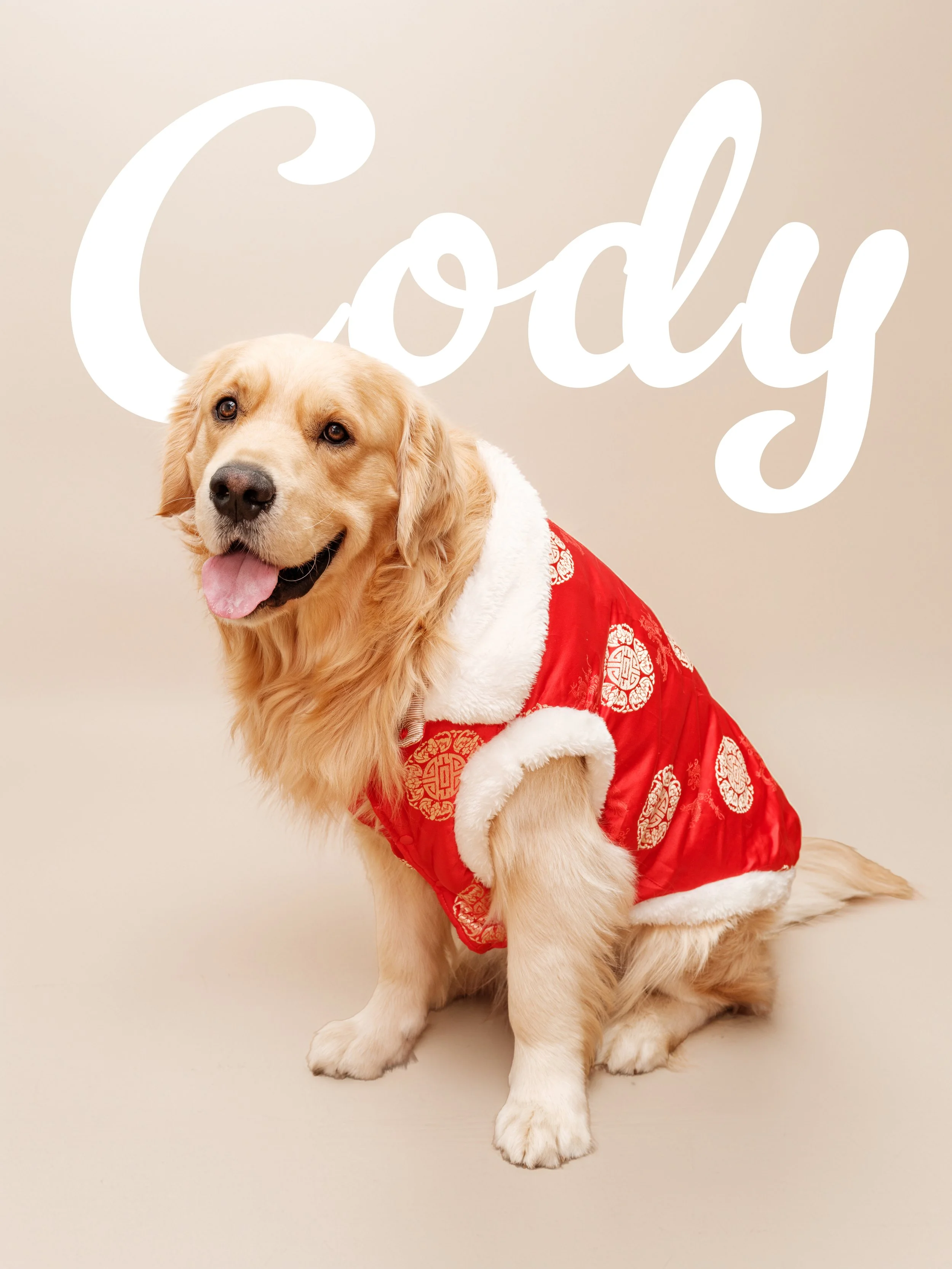 CODY 6.jpg