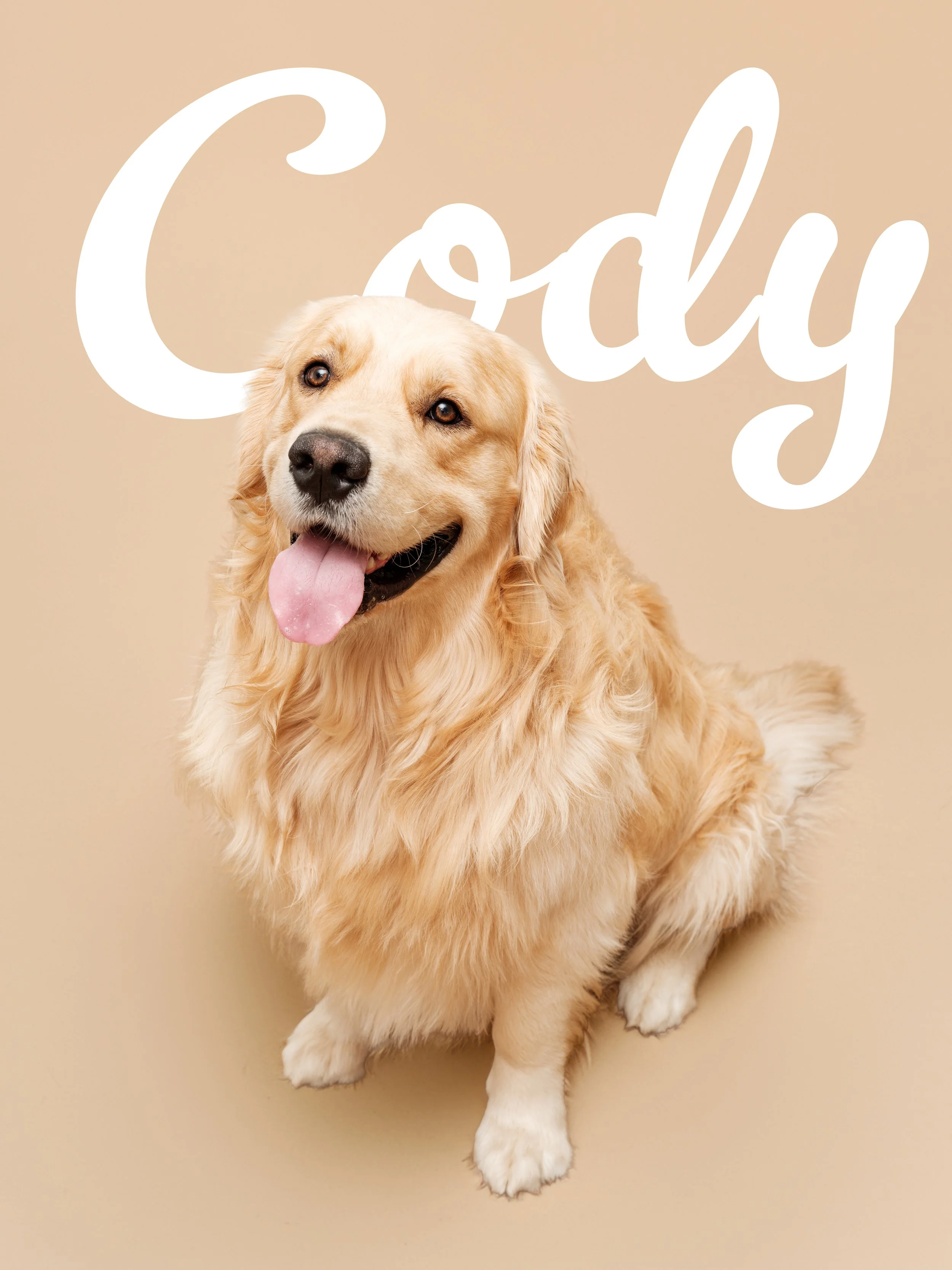 CODY 4.jpg