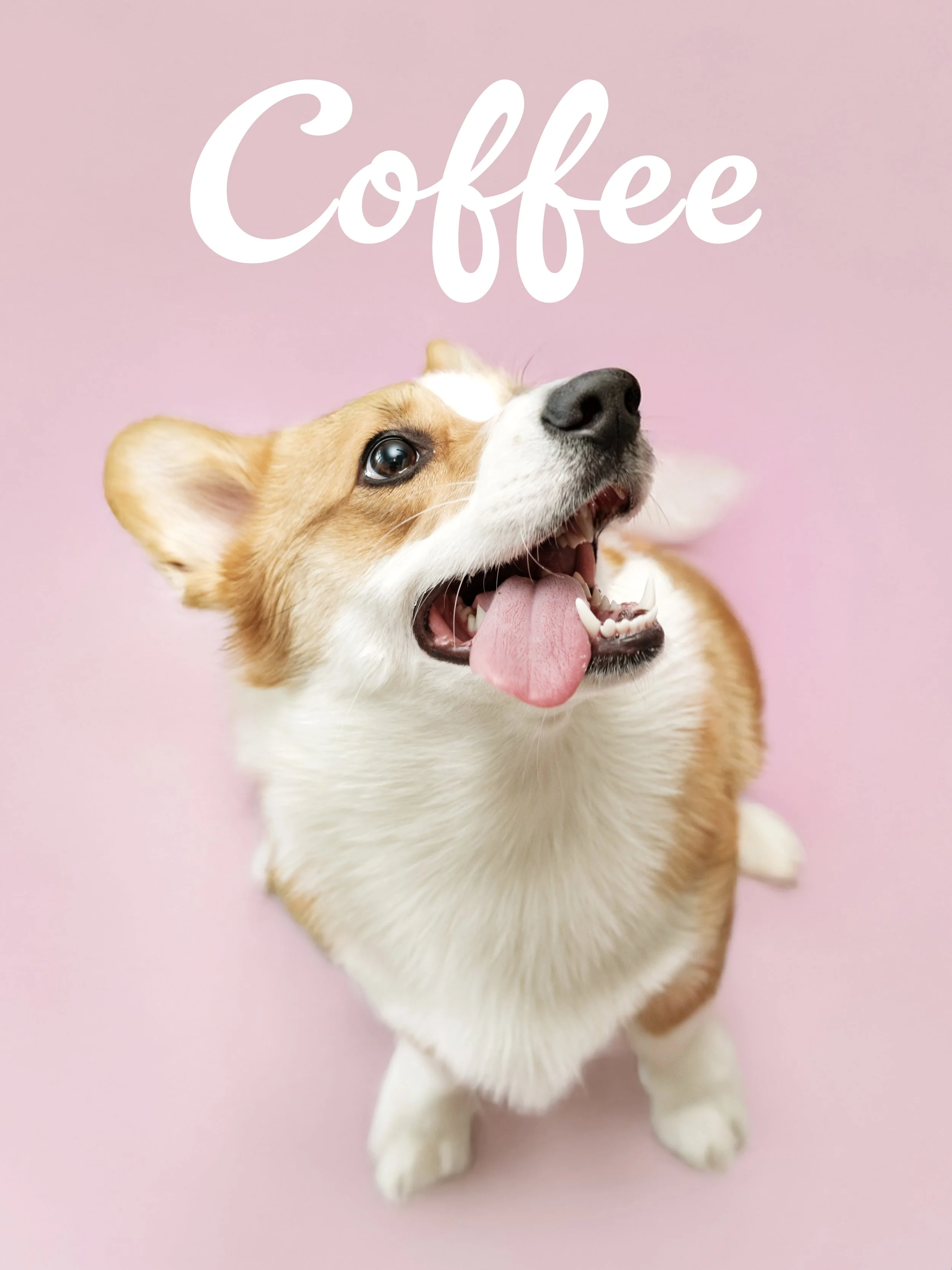 Coffee Studio 3 copy.jpg