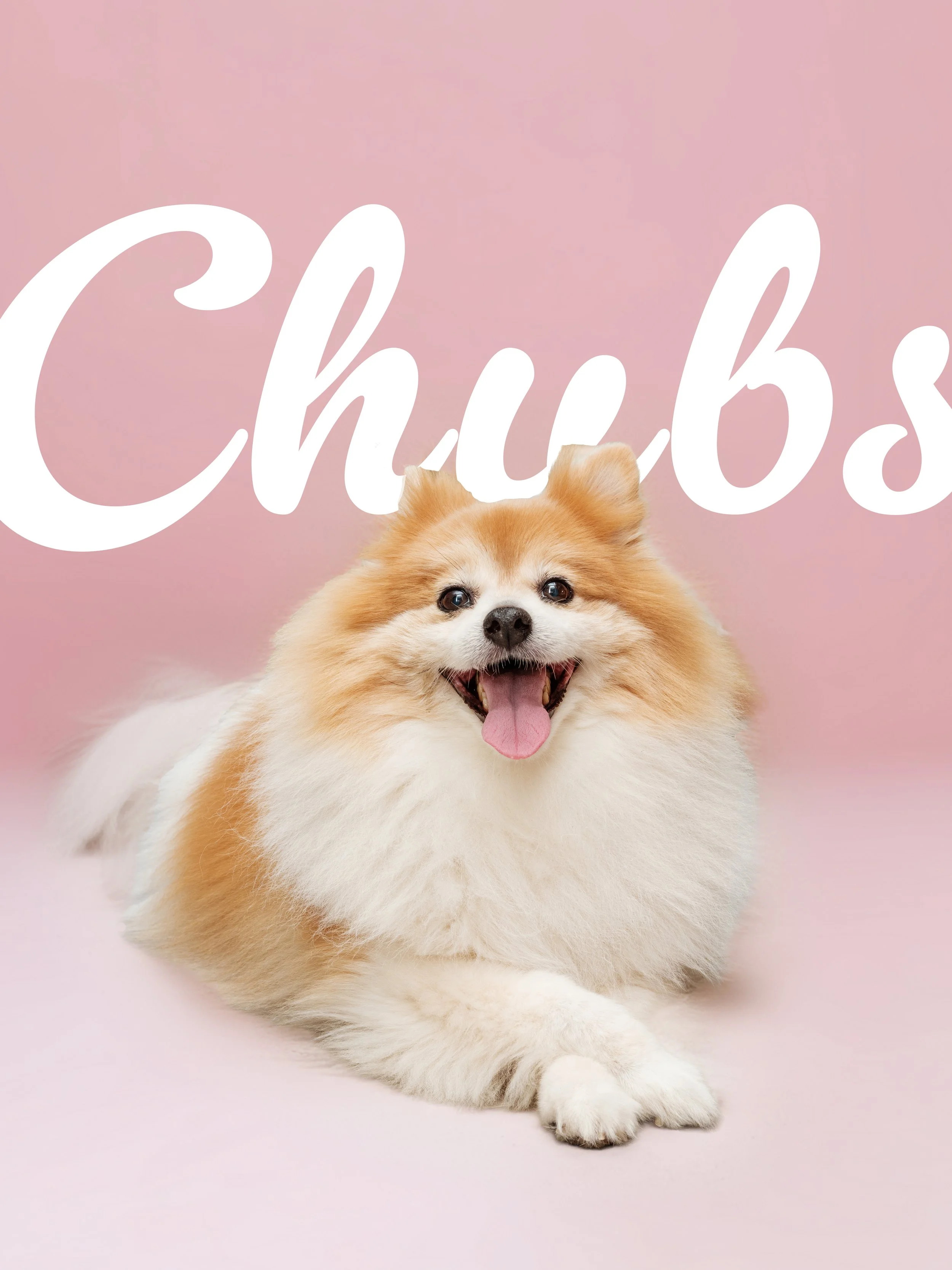 CURLS & CHUBS 11.jpg