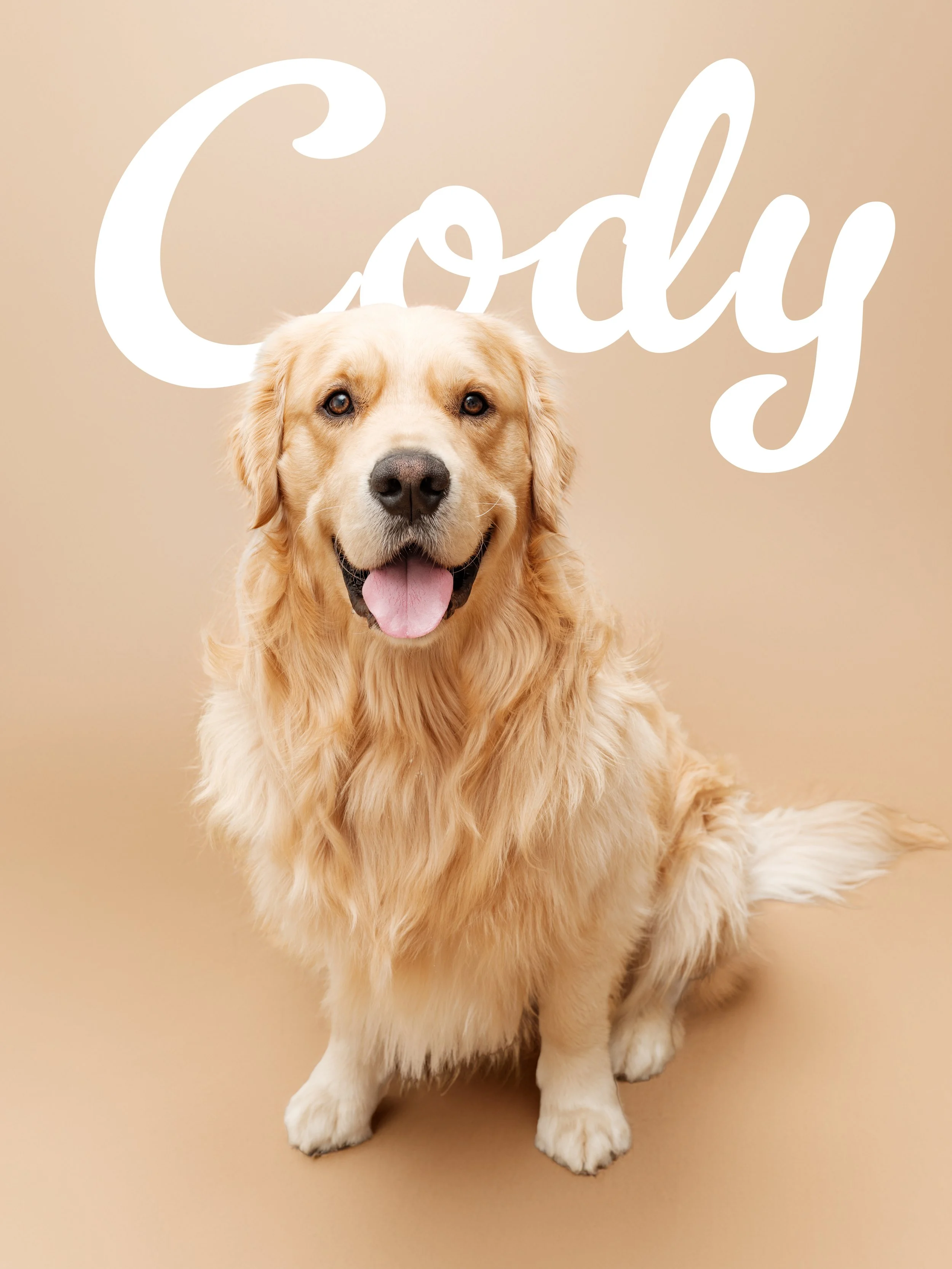 CODY 1.jpg