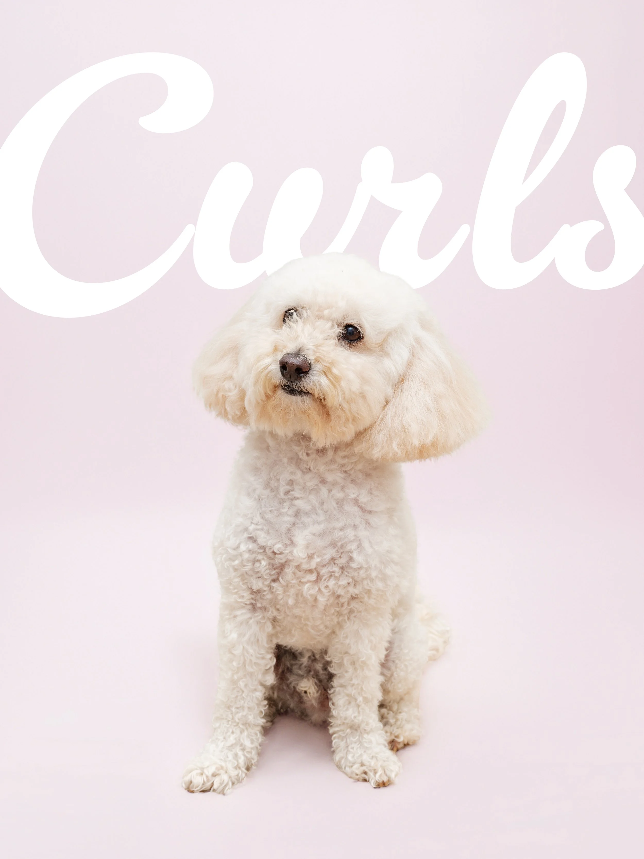 CURLS & CHUBS 3.jpg