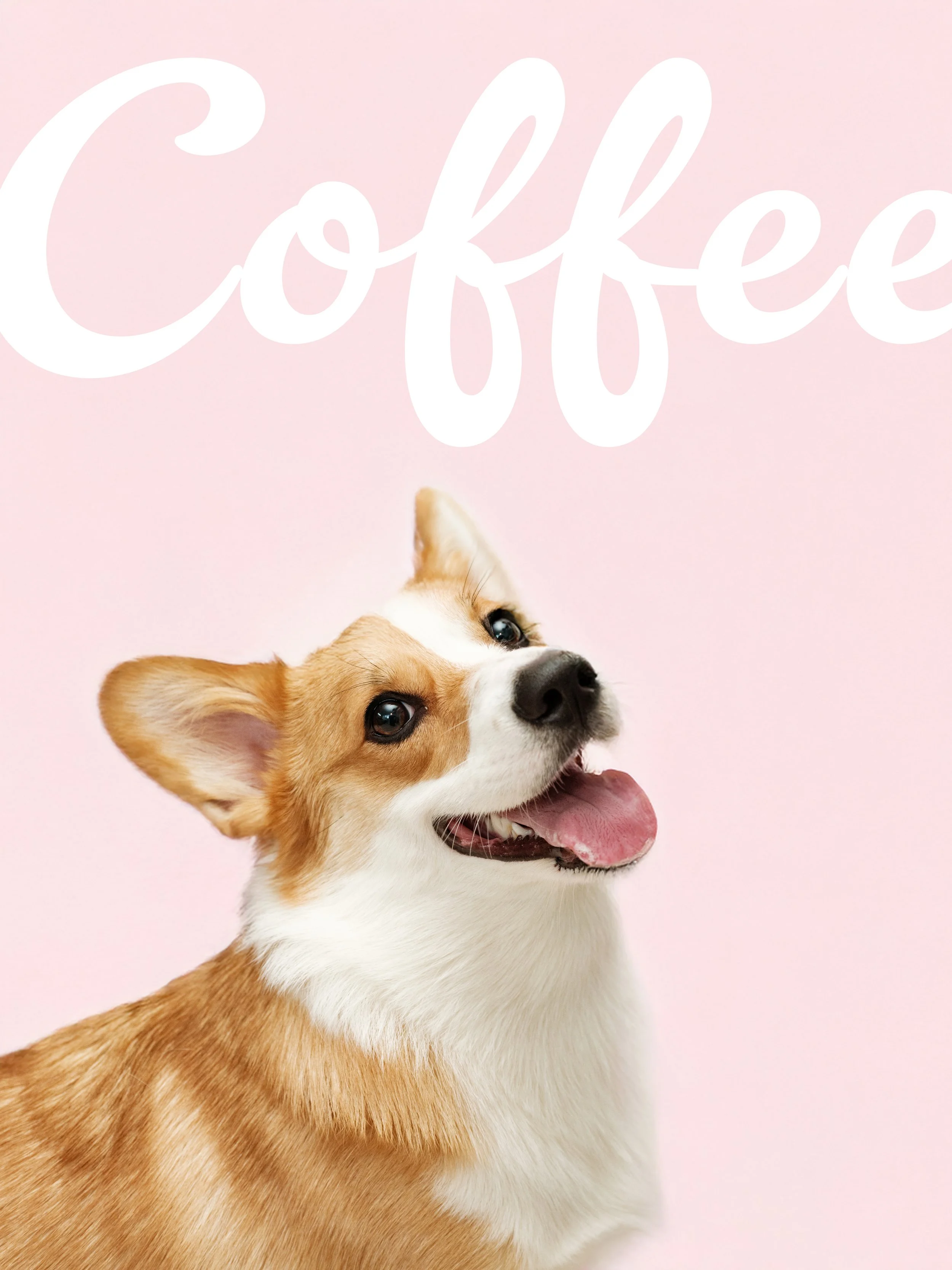 Coffee Studio 1 copy.jpg