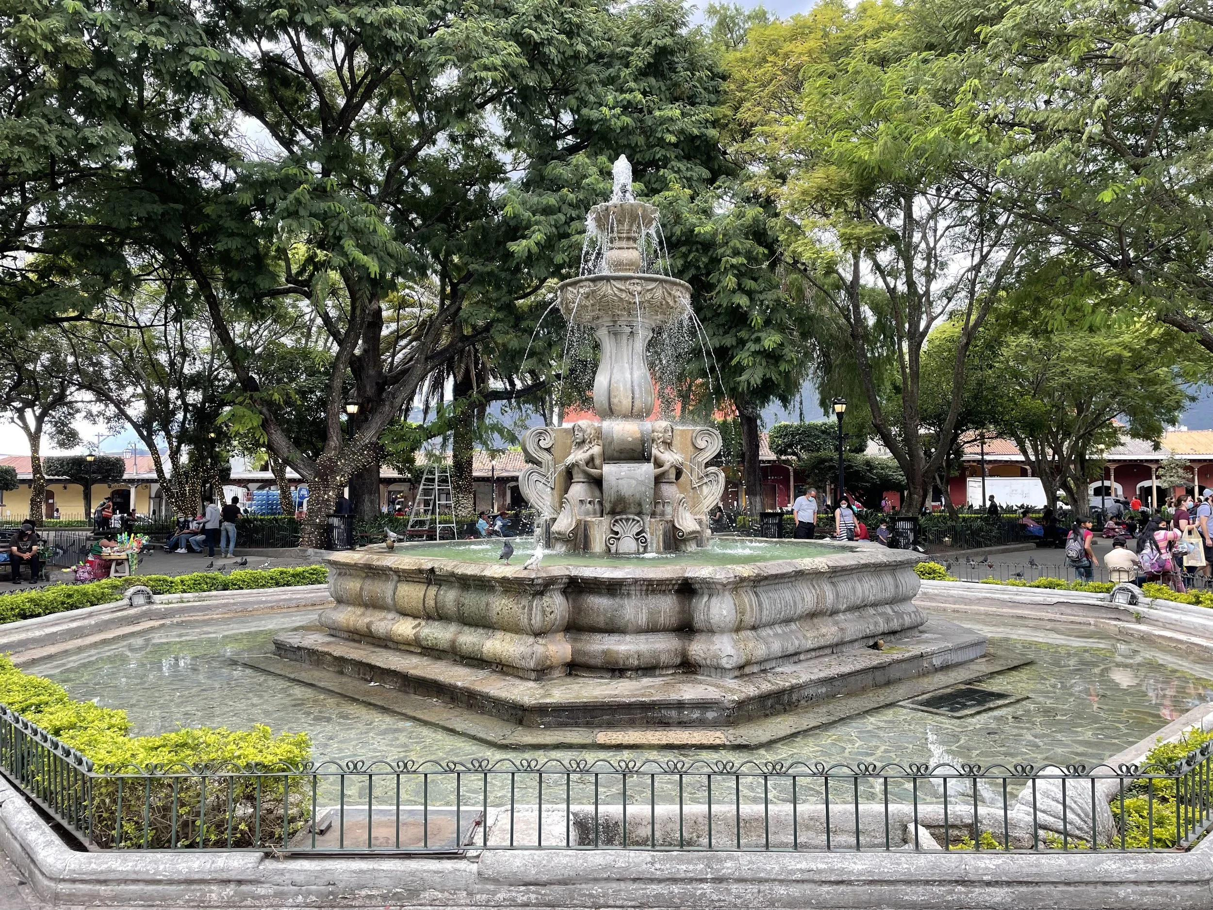IMG_0929.jpeg