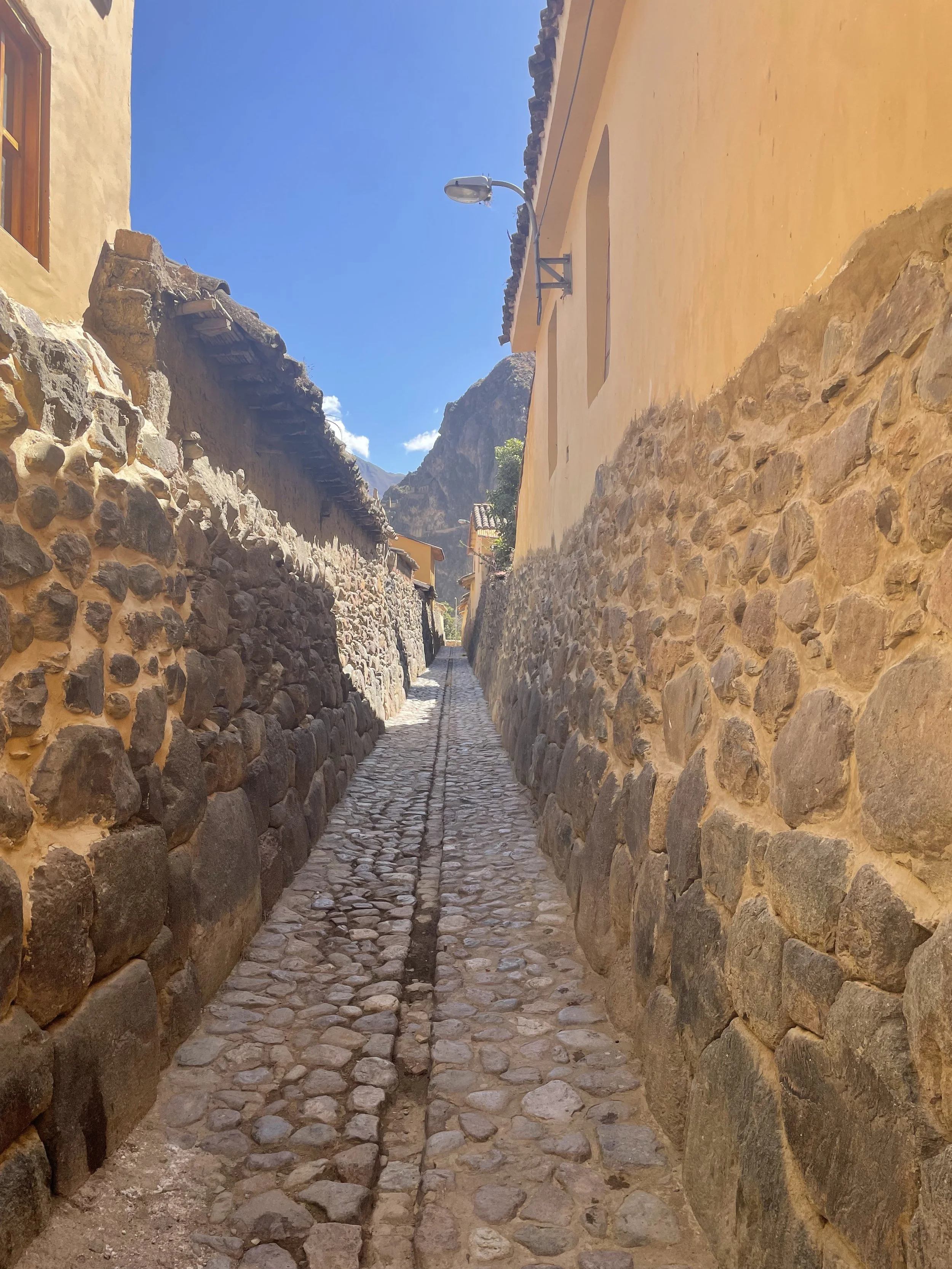 IMG_3905.jpeg