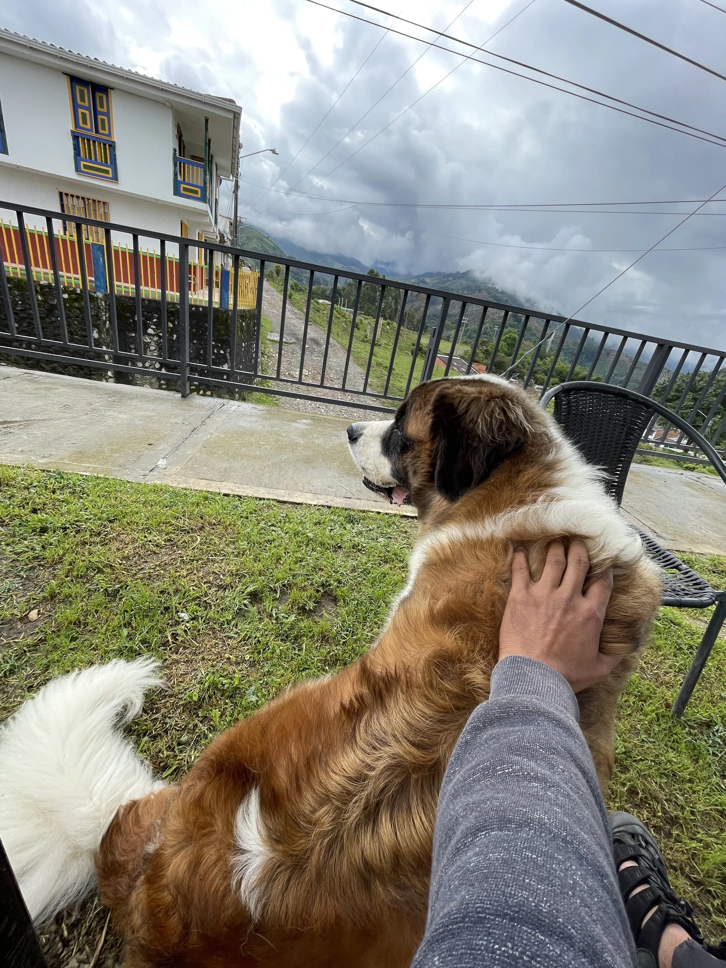 IMG_1619.jpeg