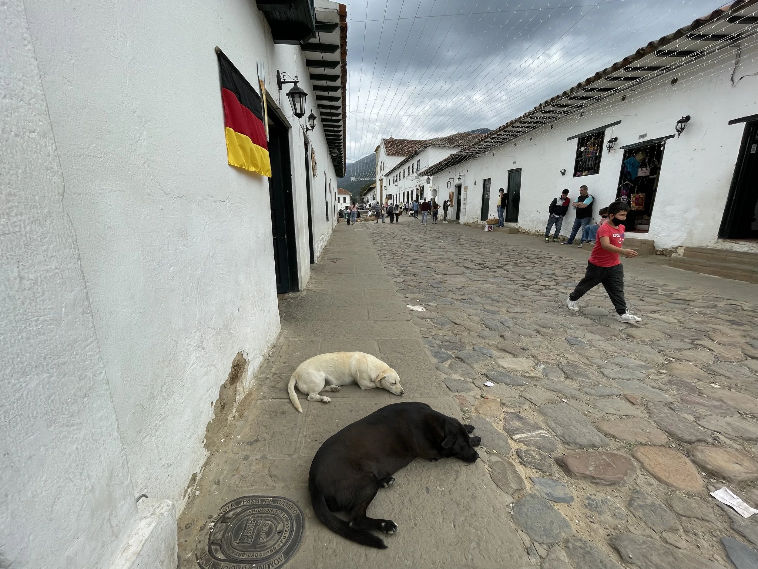 IMG_1608.jpeg
