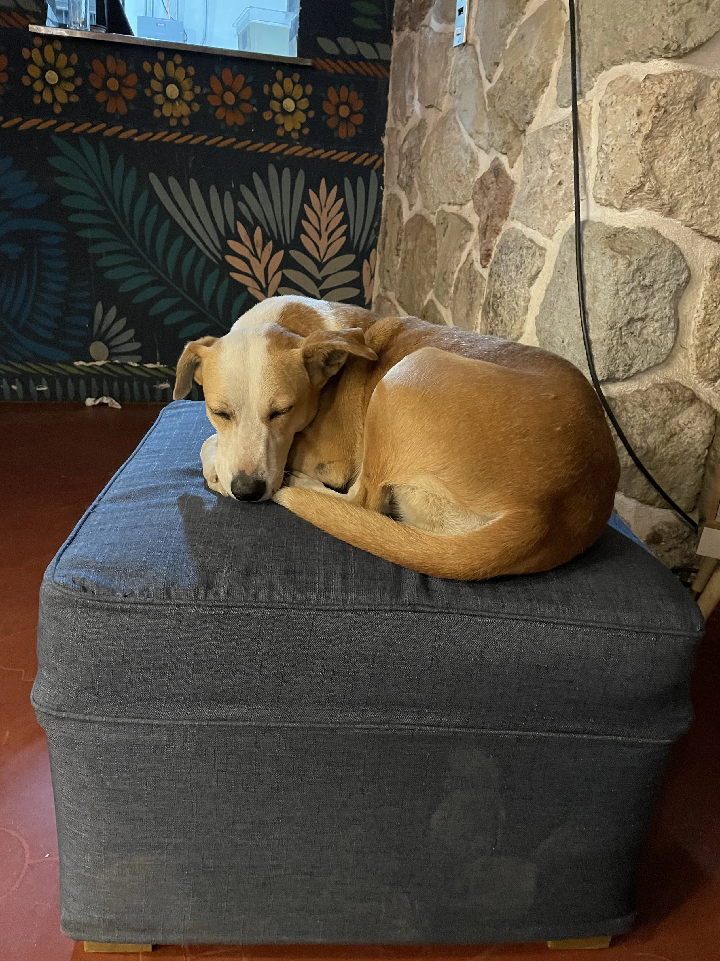IMG_0878.jpeg