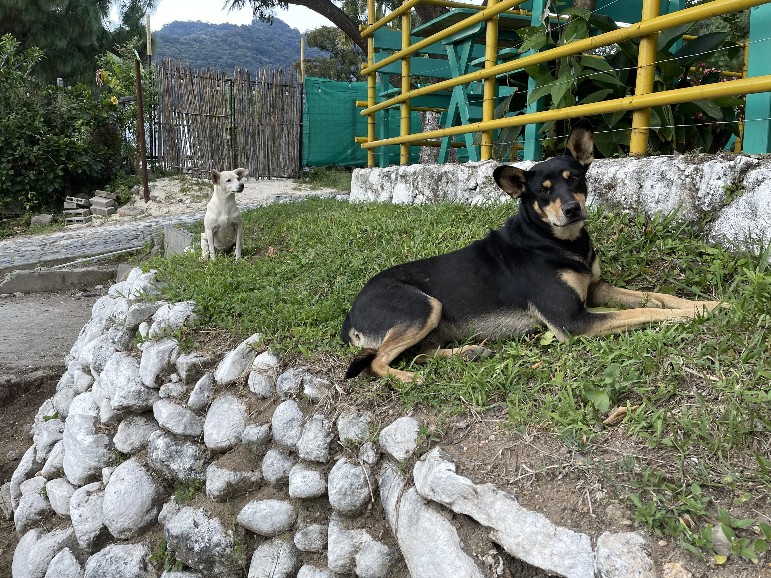 IMG_0839.jpeg