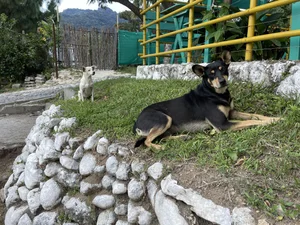 IMG_0839.jpeg