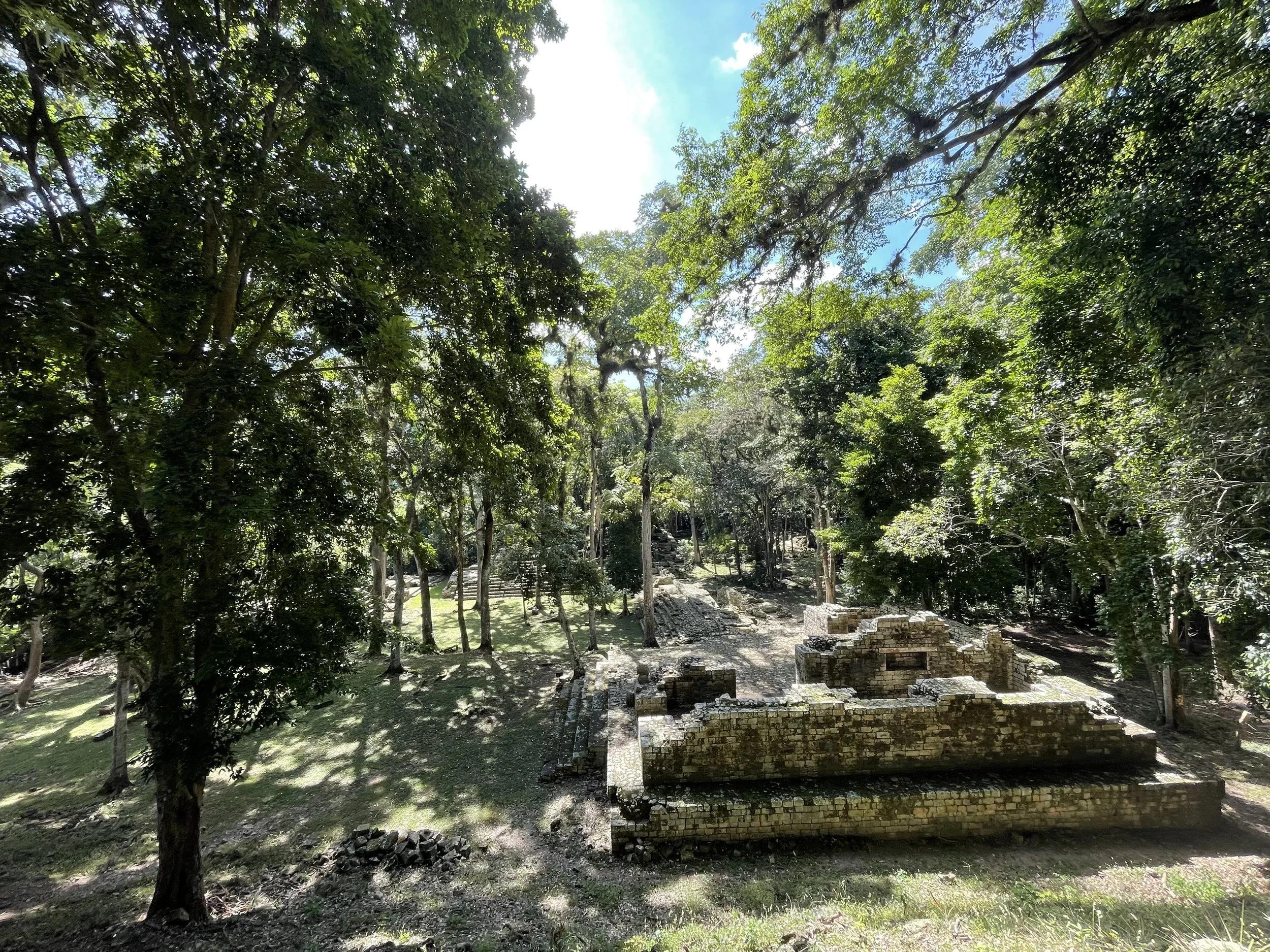 IMG_0999.jpeg