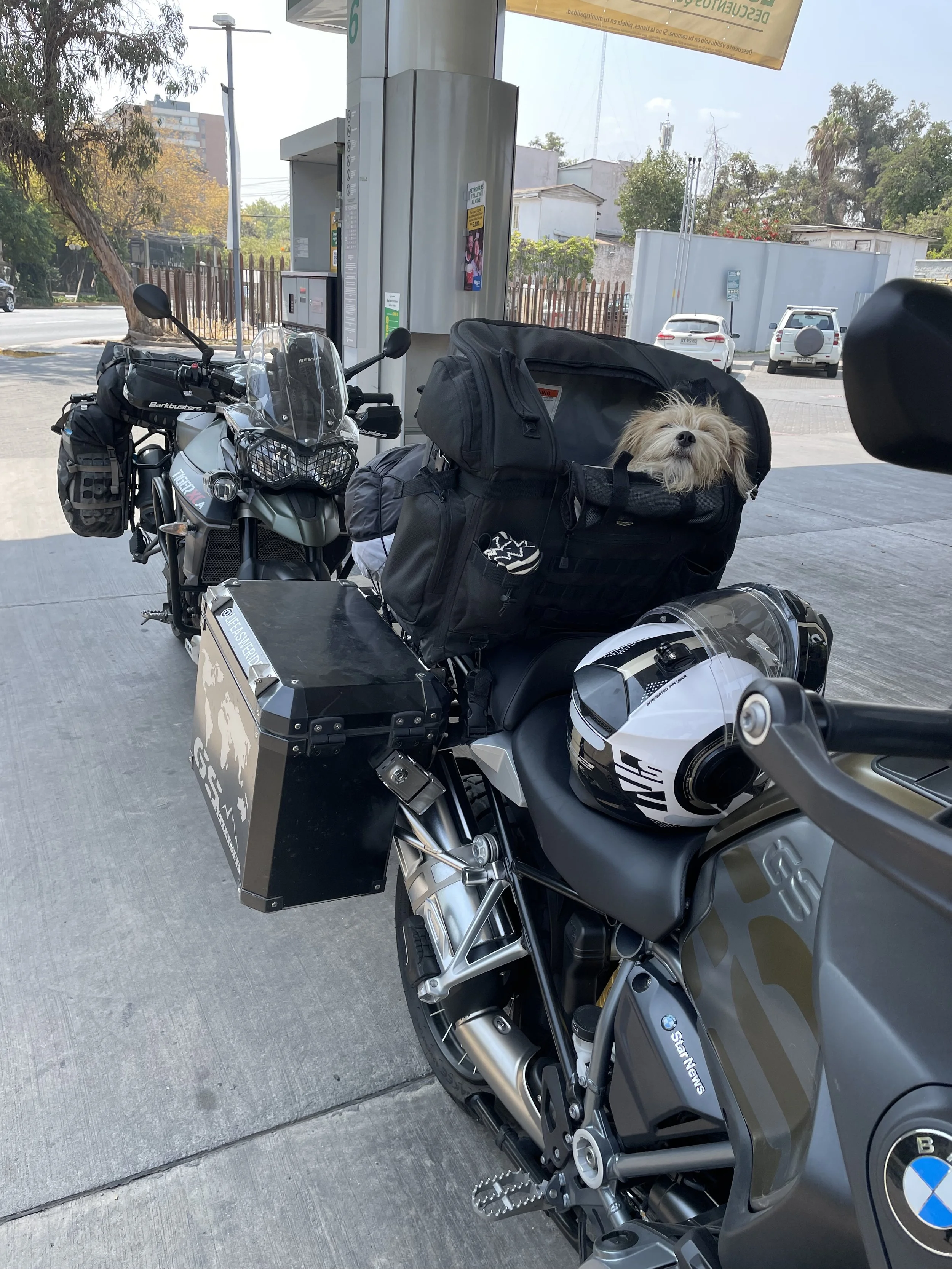 IMG_1902.jpeg