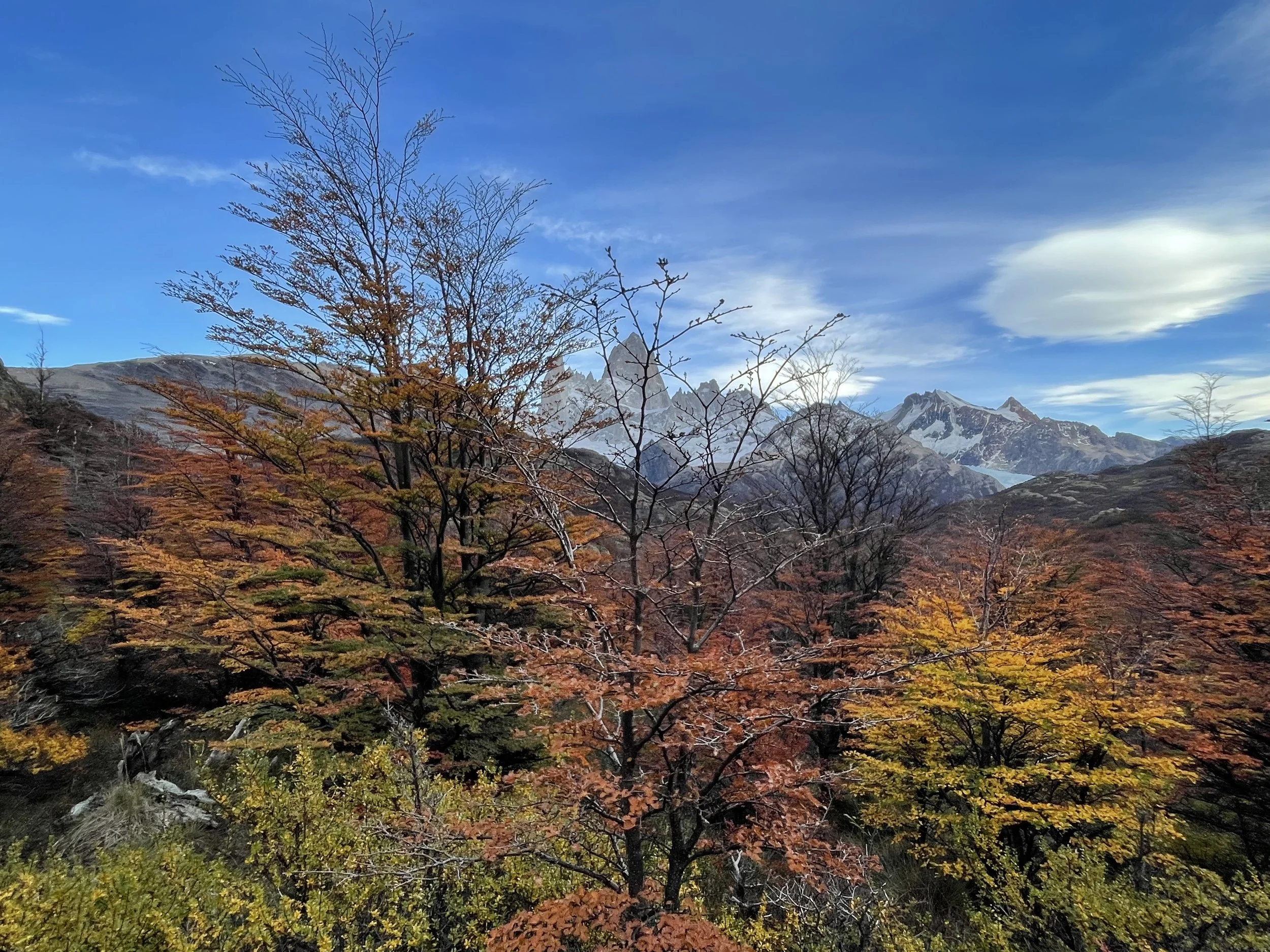 IMG_3068.jpeg