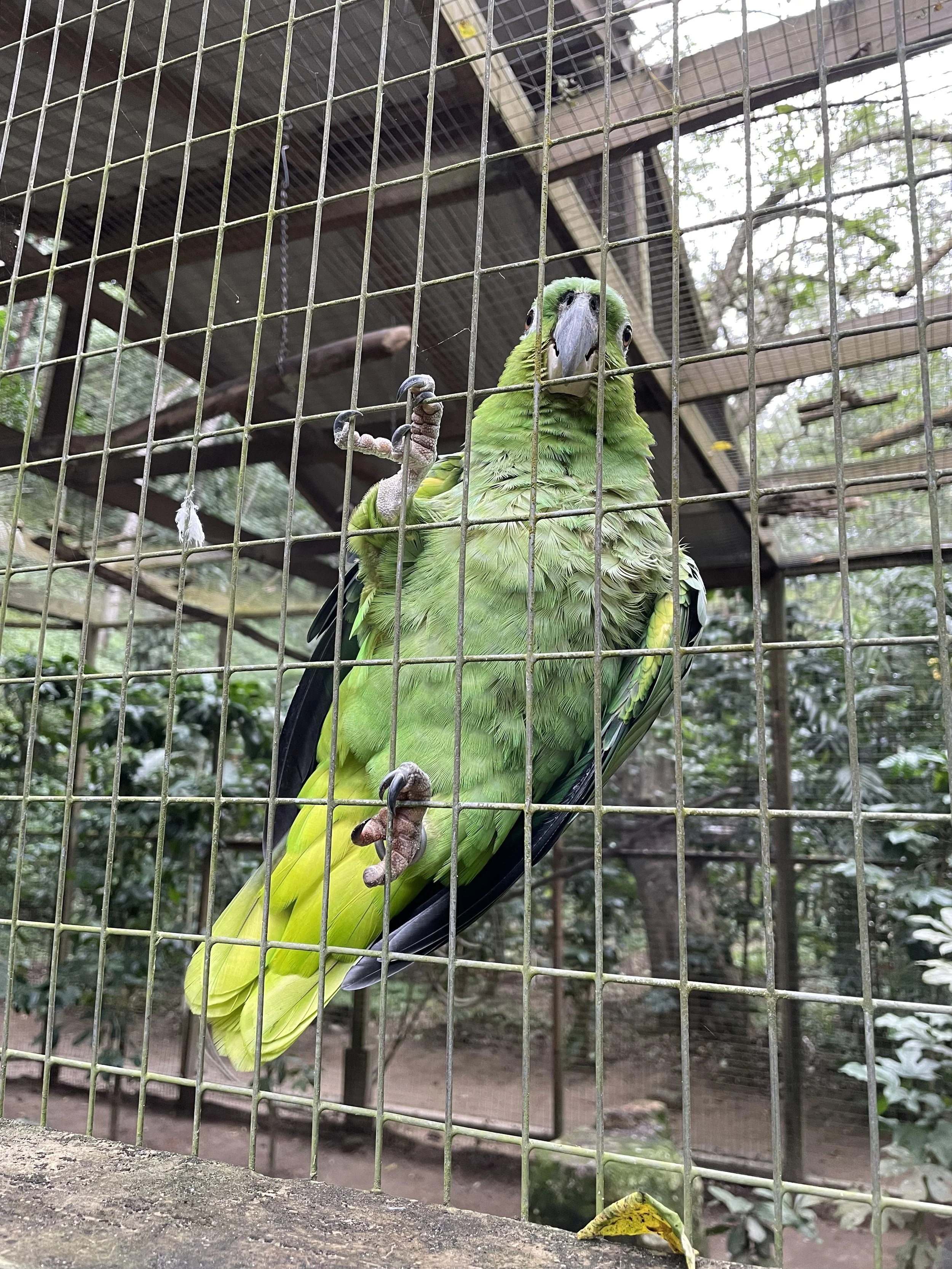 IMG_1073.jpeg