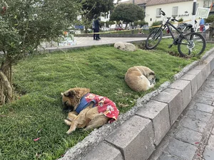IMG_3802.jpeg