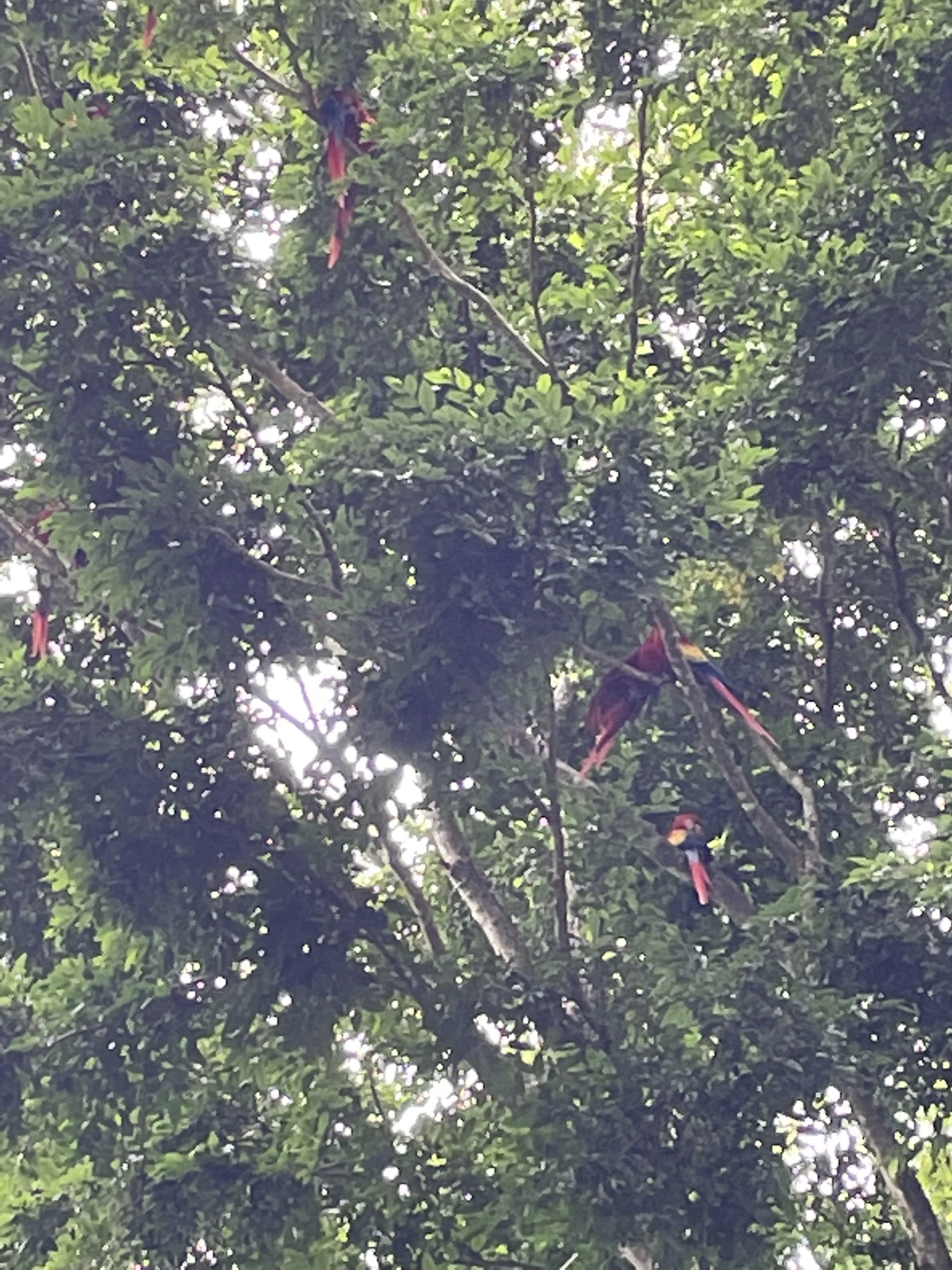 IMG_1060.jpeg