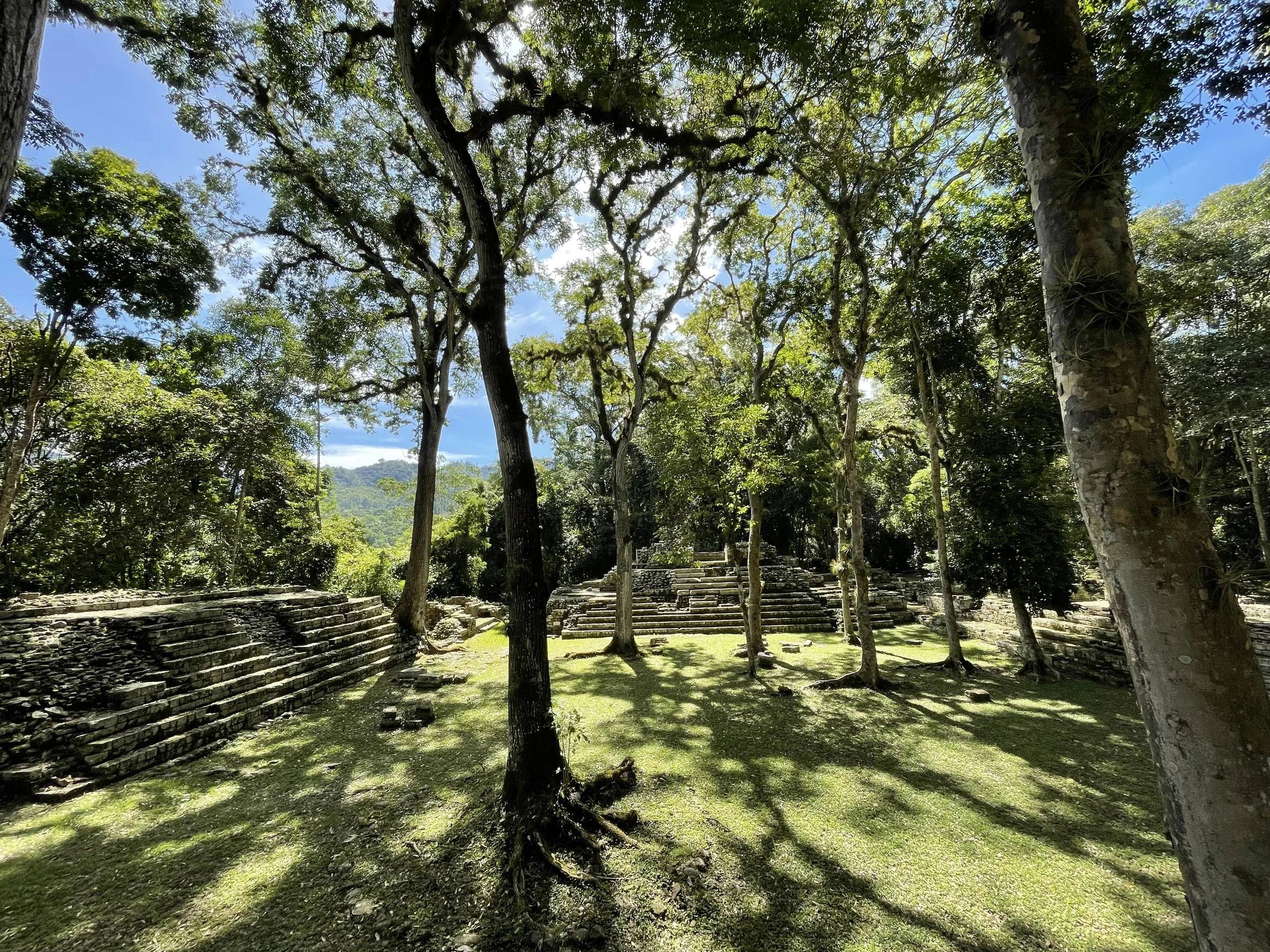 IMG_1002.jpeg