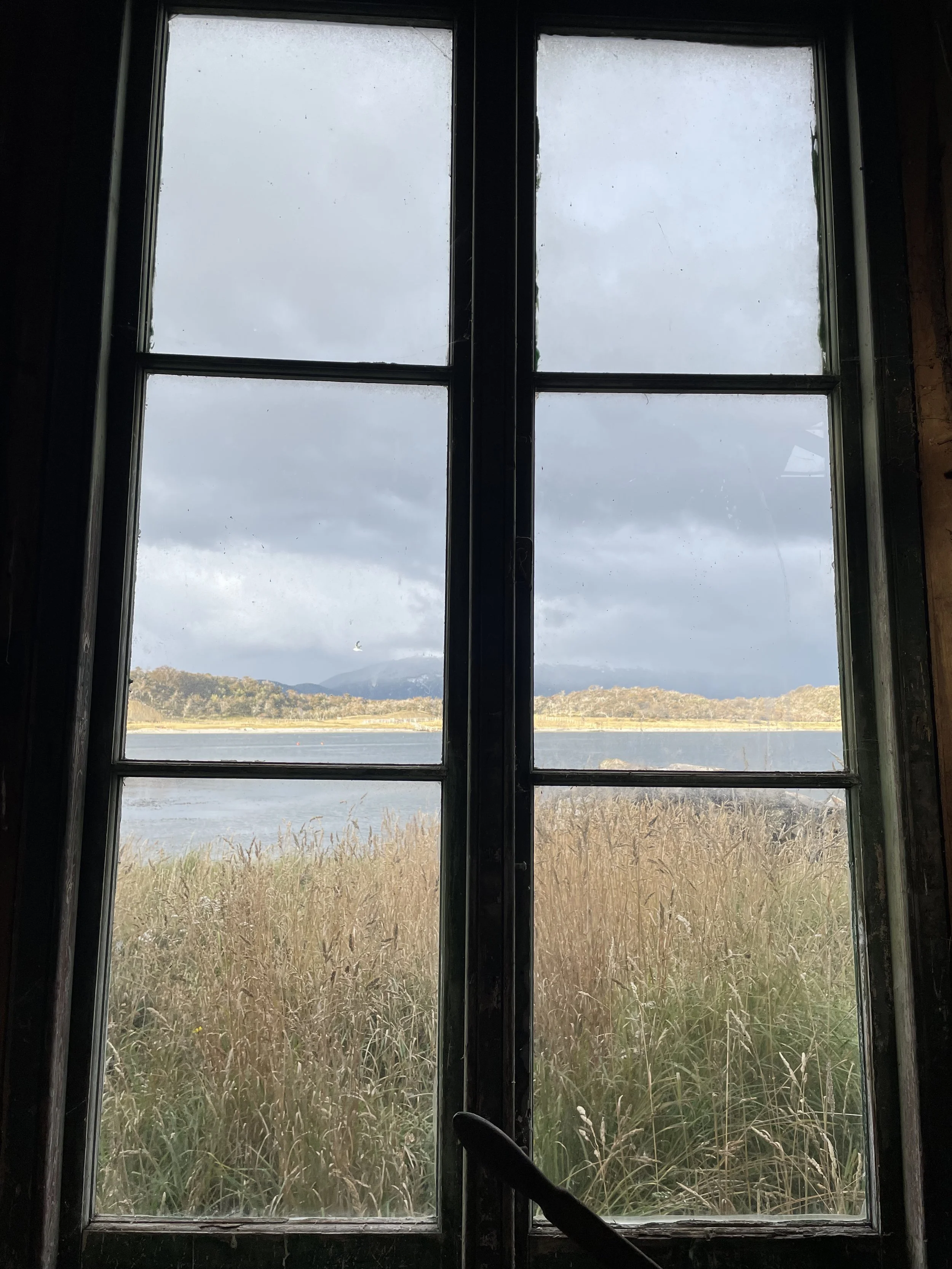 IMG_2737.jpeg