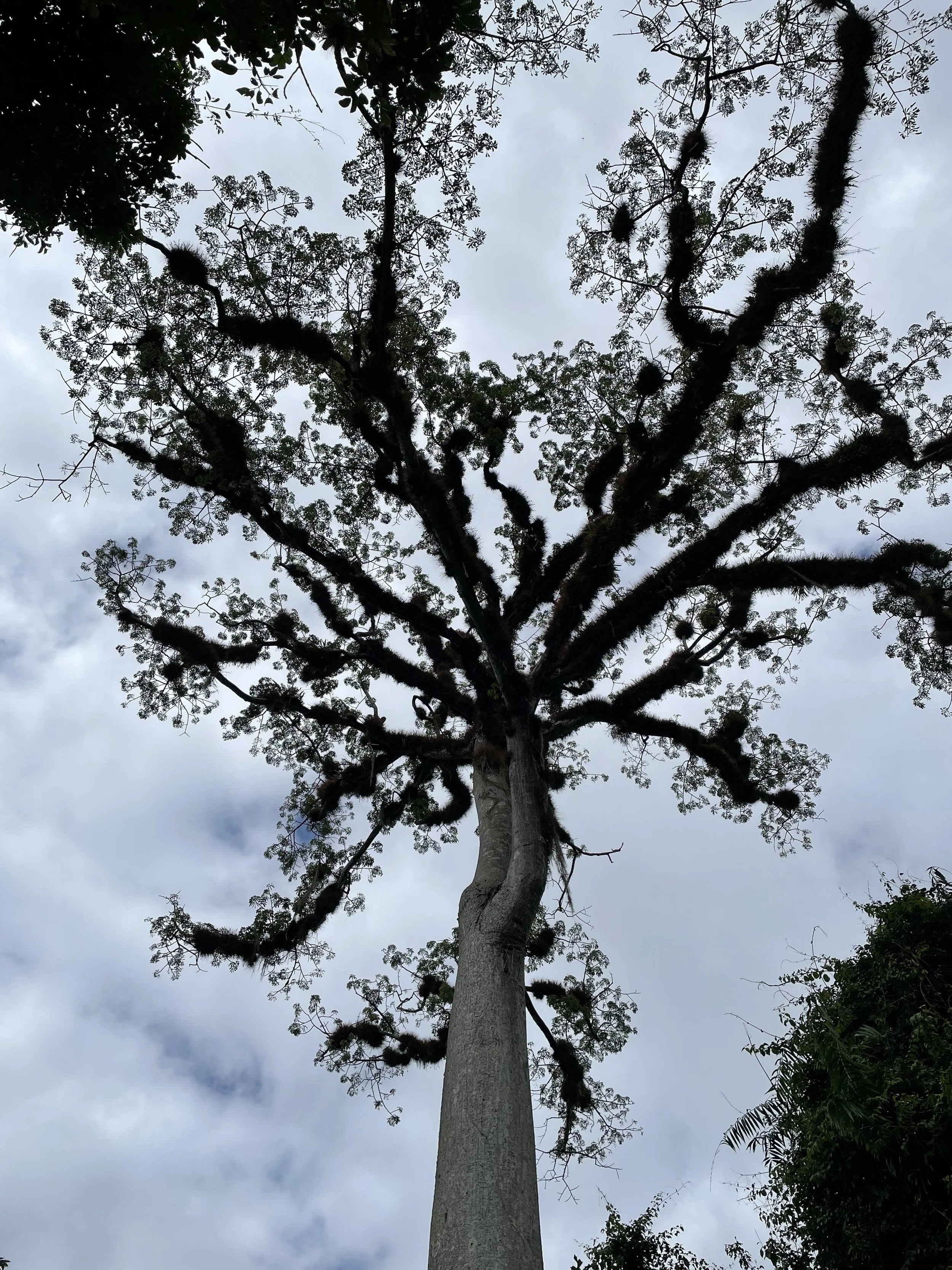 IMG_0956.jpeg
