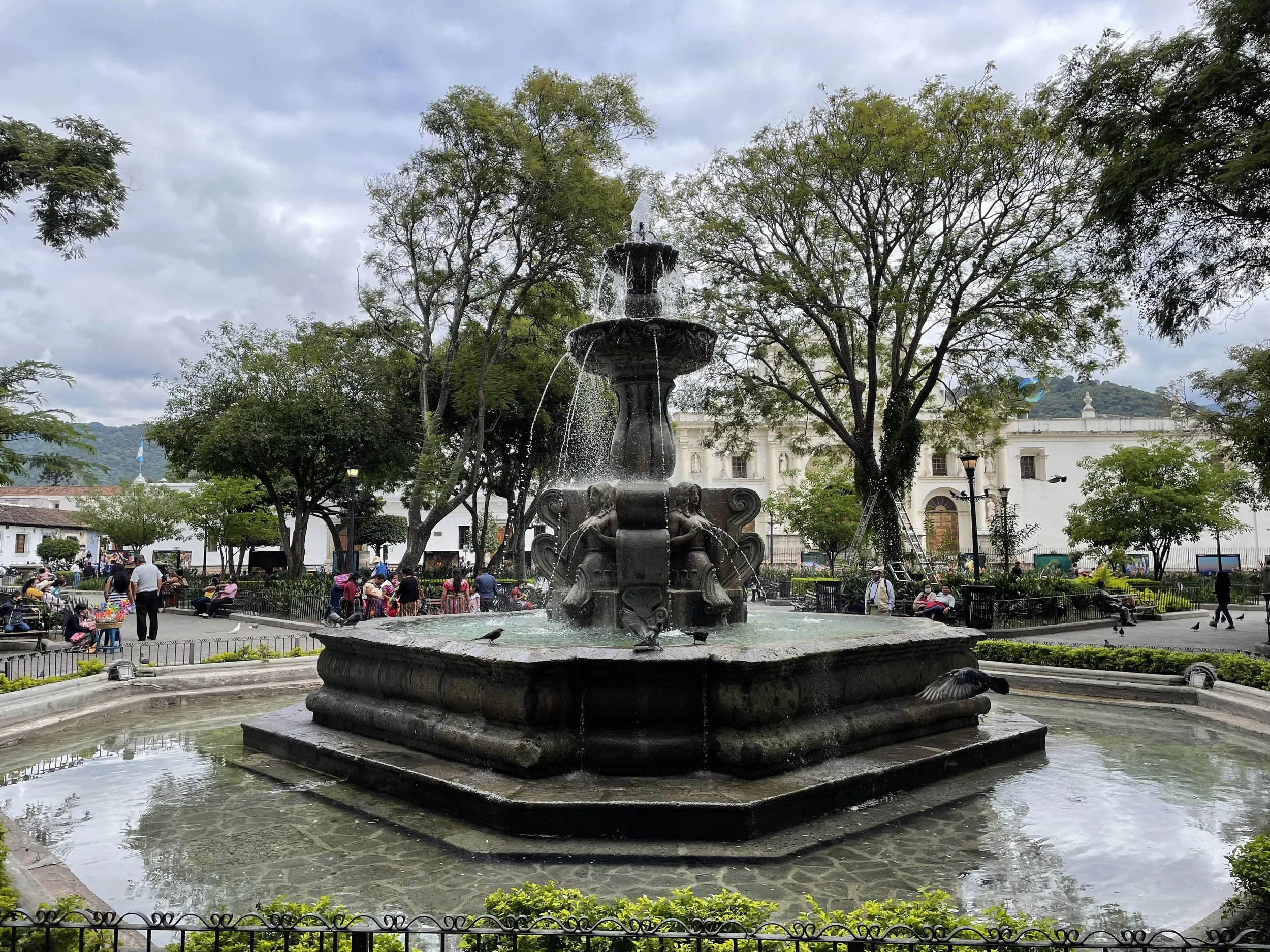 IMG_0931.jpeg