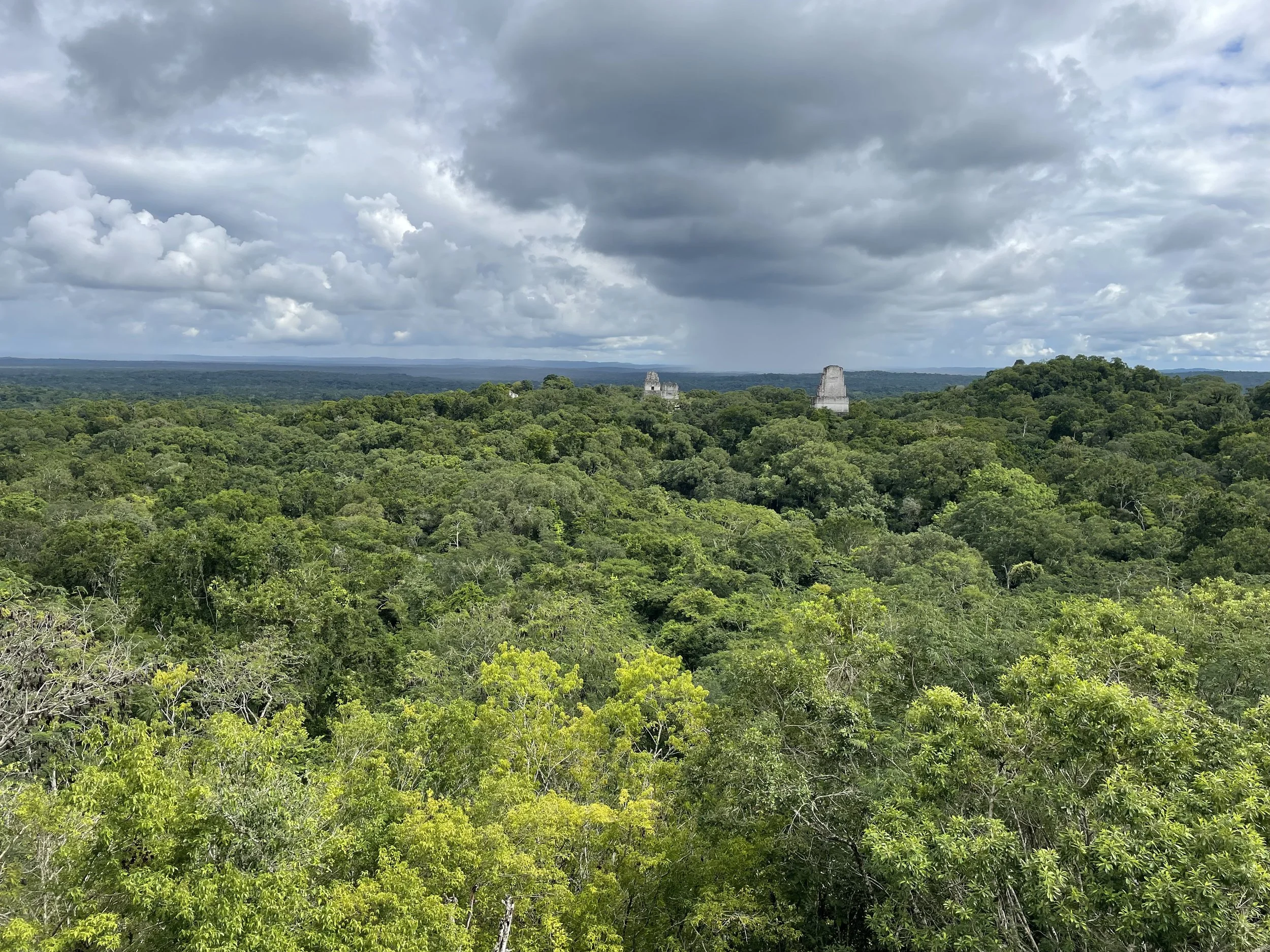 IMG_0973.jpeg