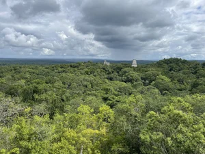 IMG_0973.jpeg
