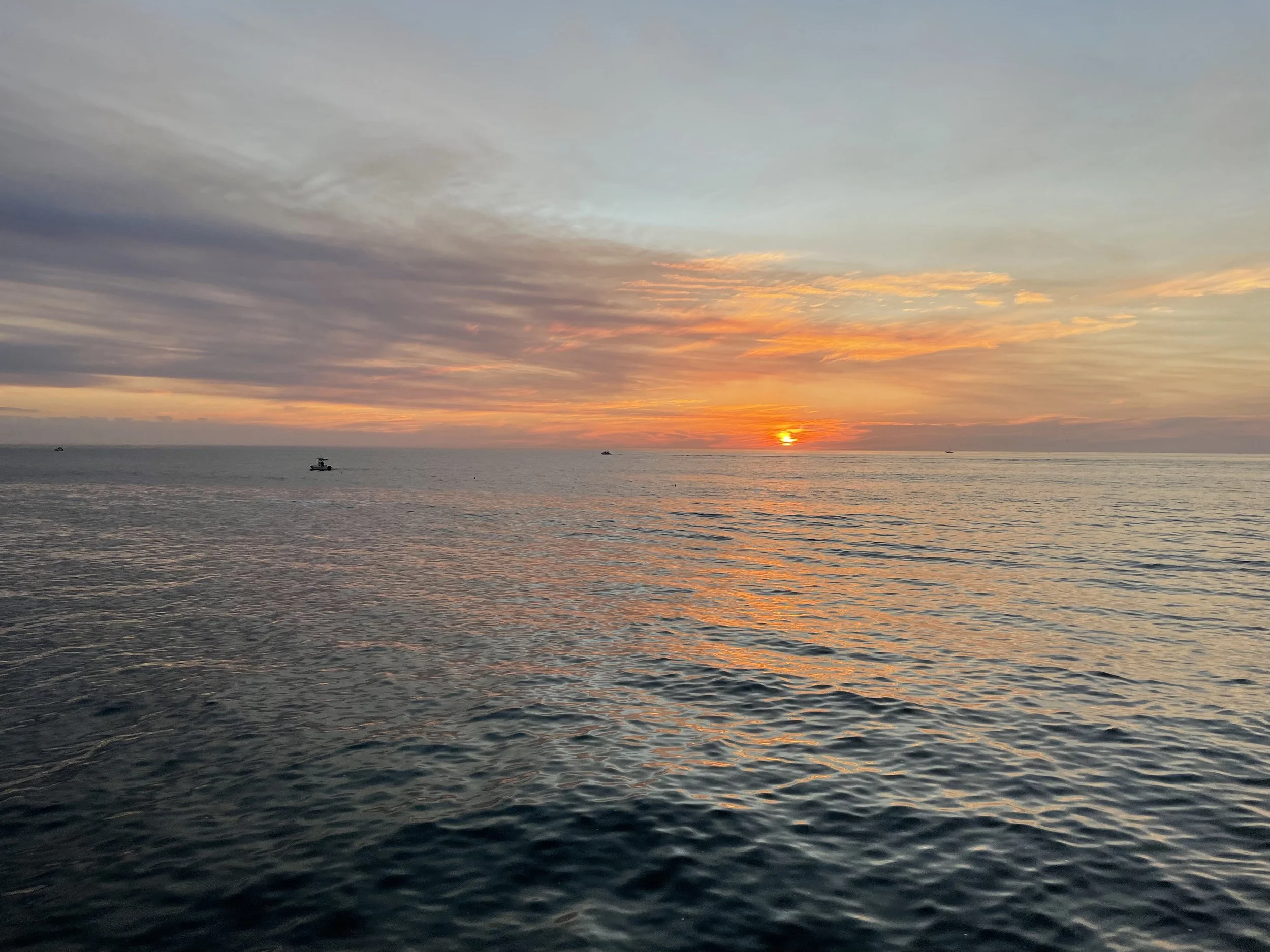 IMG_0378.jpeg