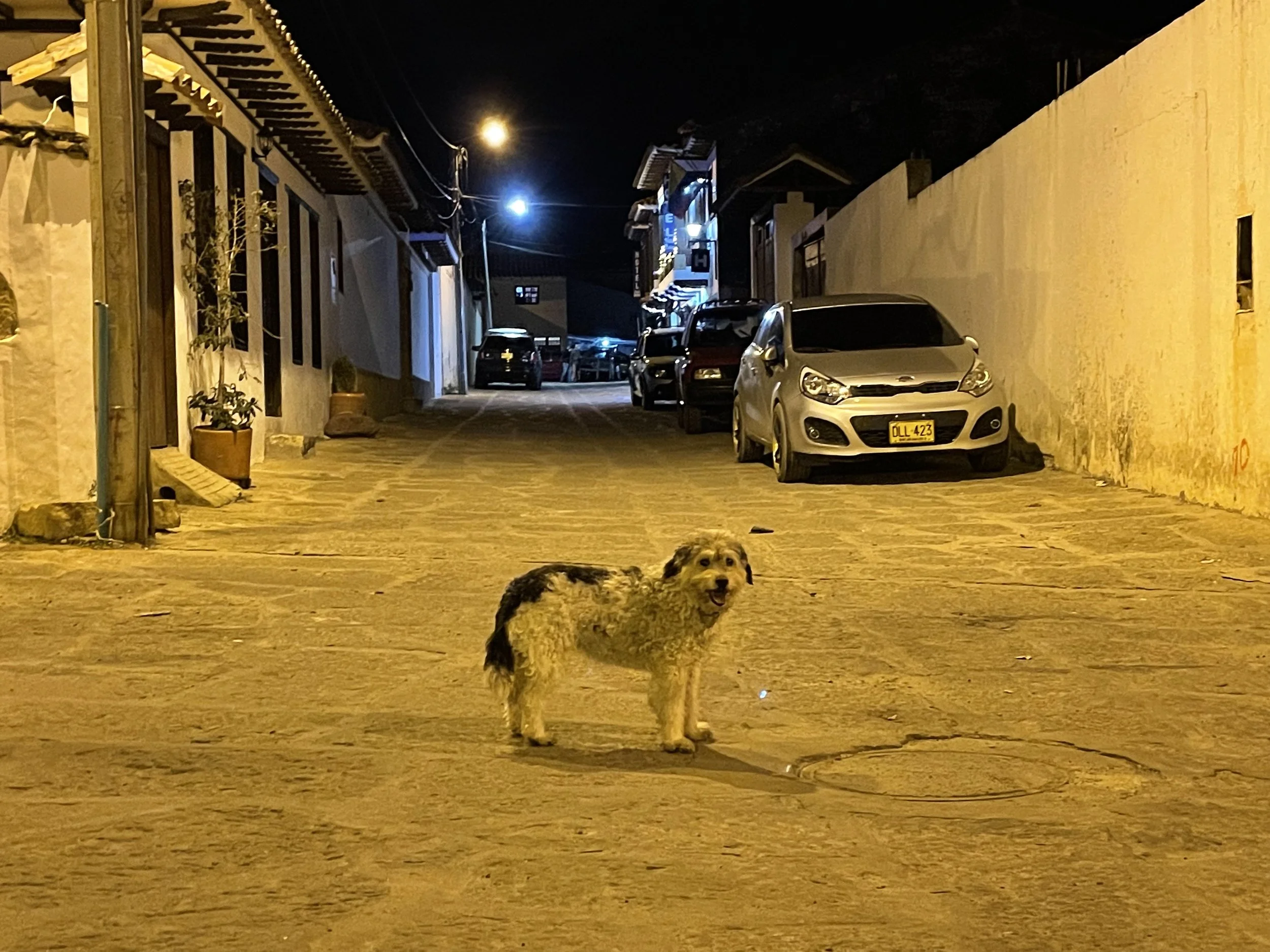 IMG_1575.jpeg