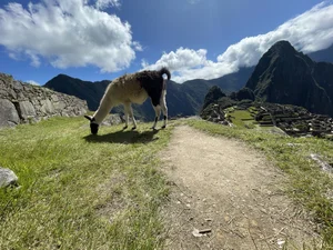 IMG_3958.jpeg