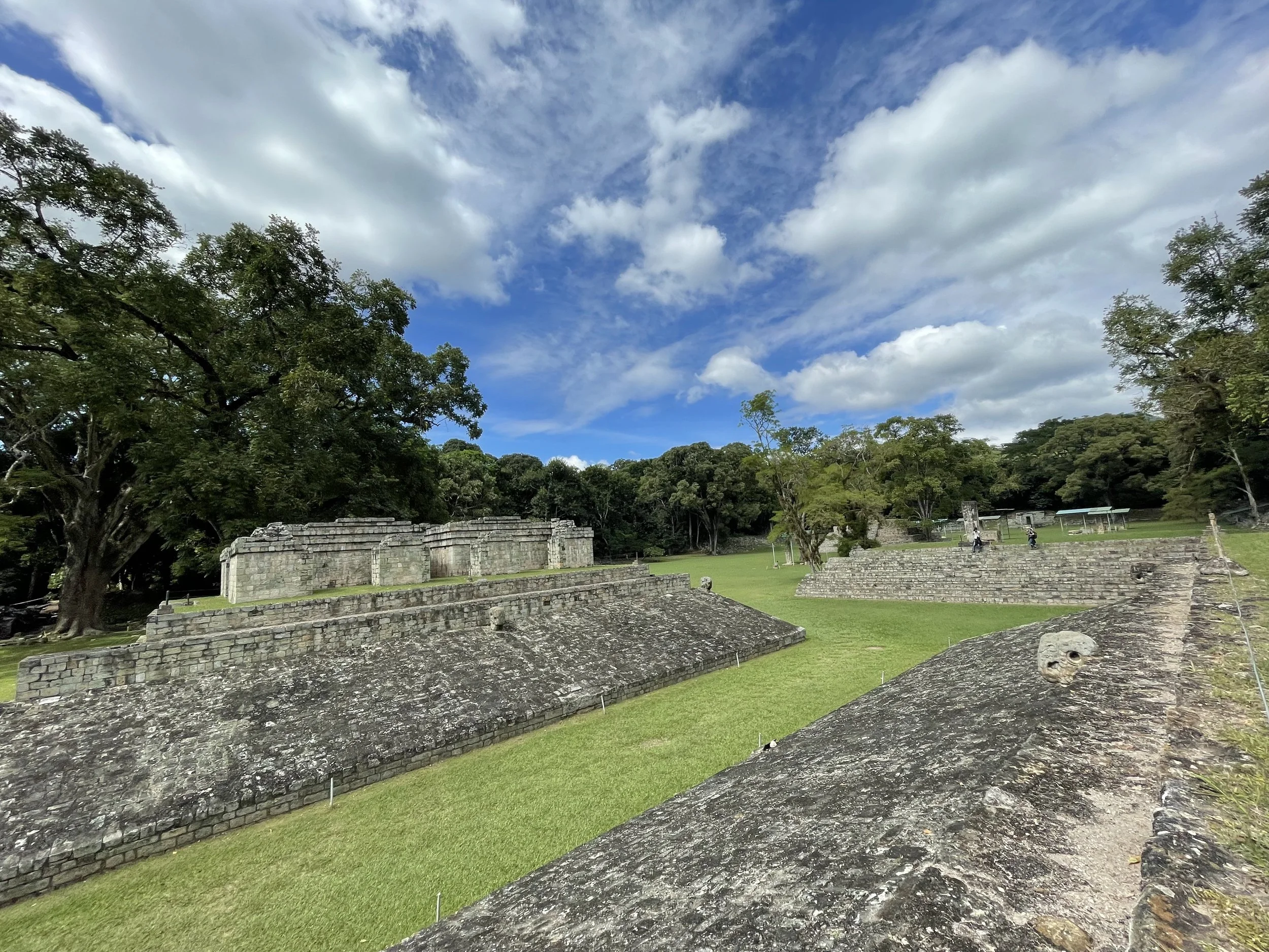 IMG_1022.jpeg