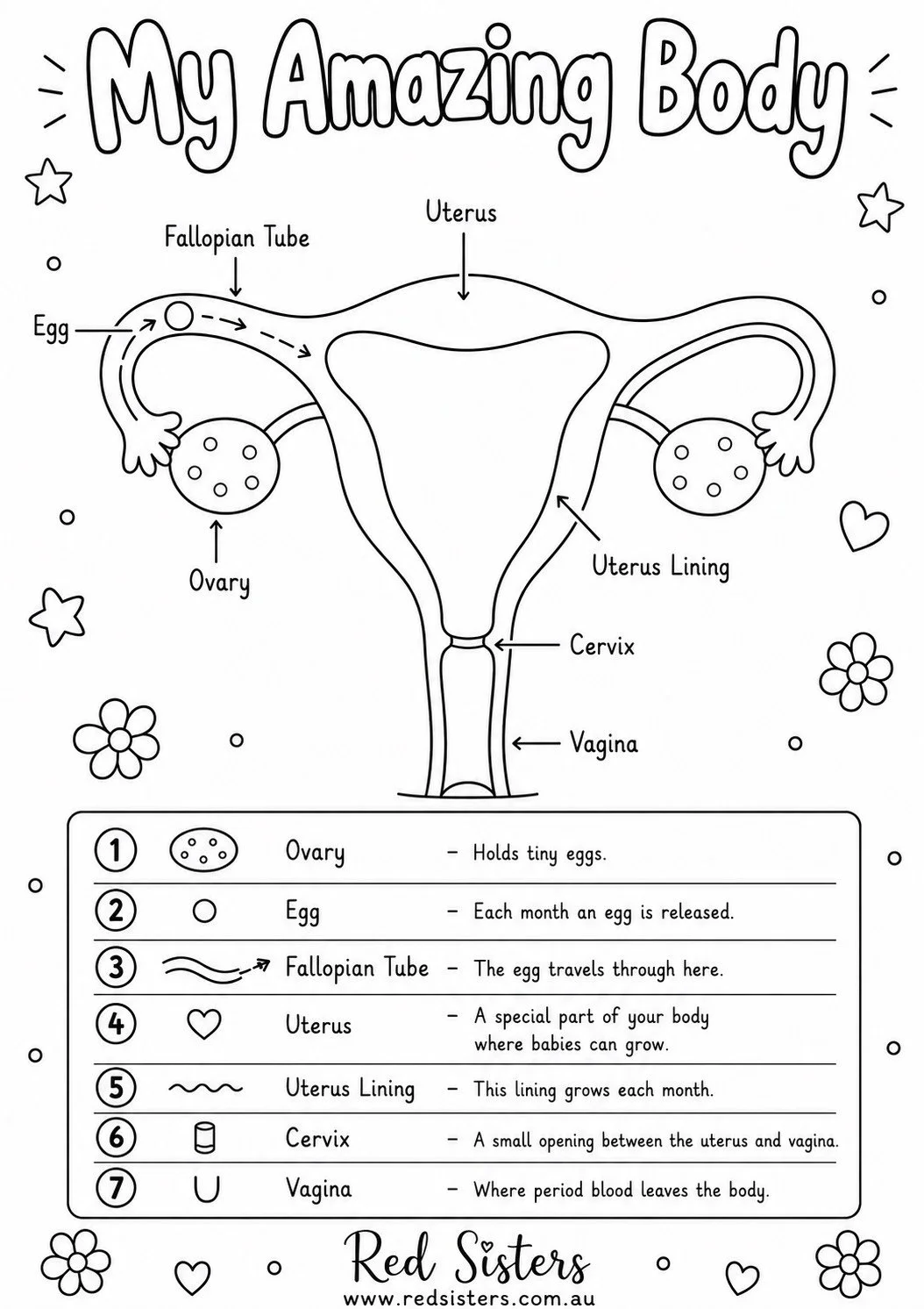 My Amazing Body Colouring Page