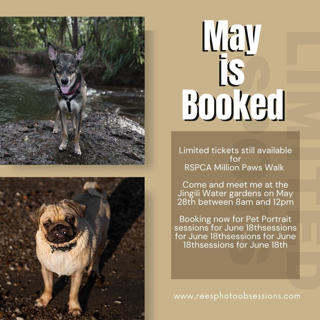 May is booked filled of amazing pets and their owners.

Wanted to get your pets photo captured this month, head to www.reesphotoobsessions.com and sign up the RSPCA Million Paws Pet Portrait in the pet photo it's helps support our local charity for p