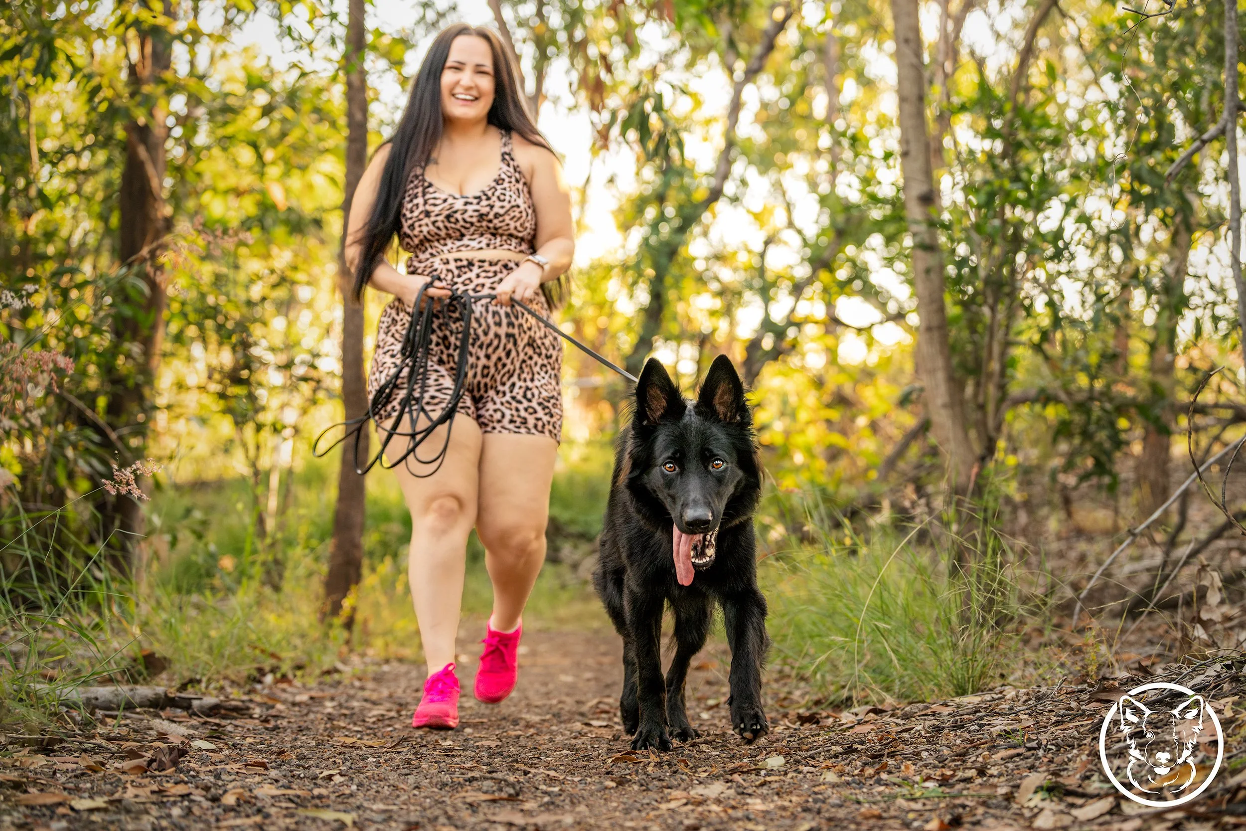 Rottweiler walking on grassy path in a forest